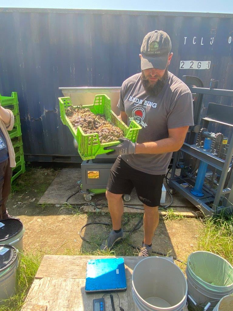 Man holding a tray of small plants outdoors, with containers and equipment nearby, sunlight, and a blue fence in background.