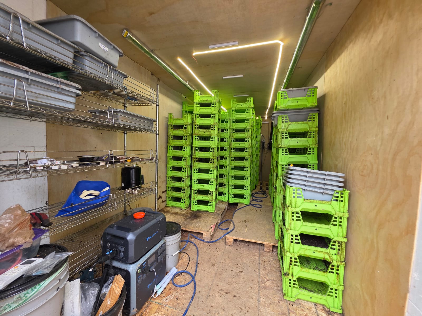 Storage room with green plastic crates stacked, metal shelves on the left, and a machine on the floor, with ceiling lights.