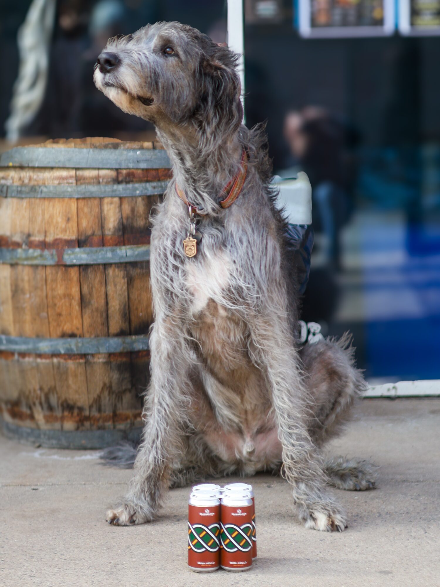 Dog sitting outdoors next to a wooden barrel with two small bottles in front, background includes a person and a building.