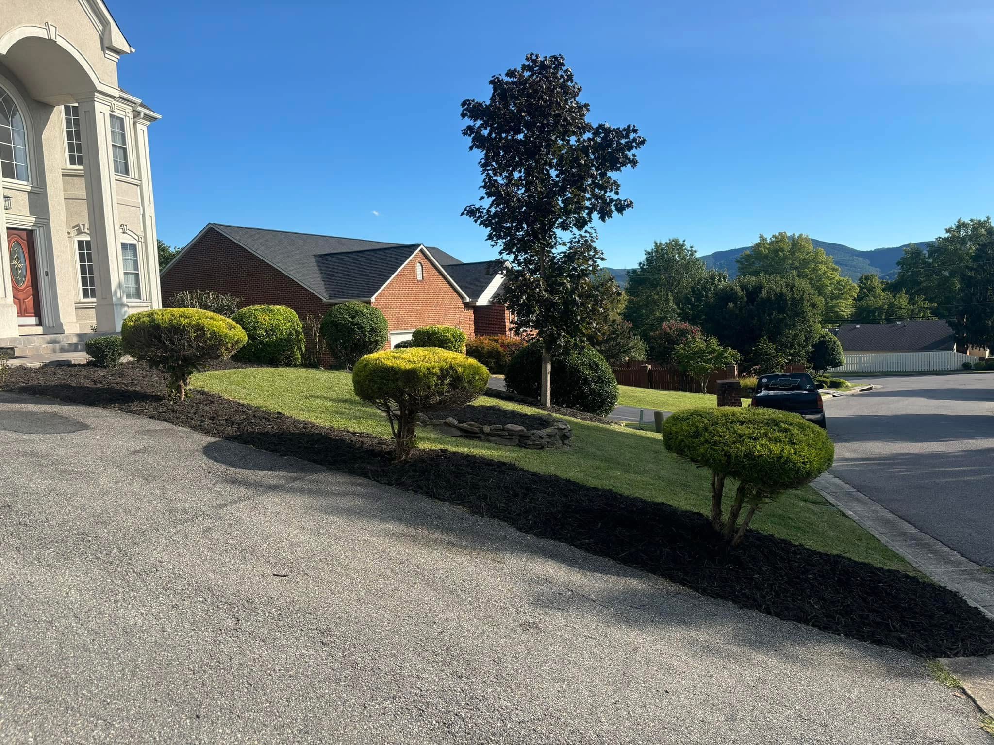Residential neighborhood with trees, bushes, and parked cars under a clear blue sky.