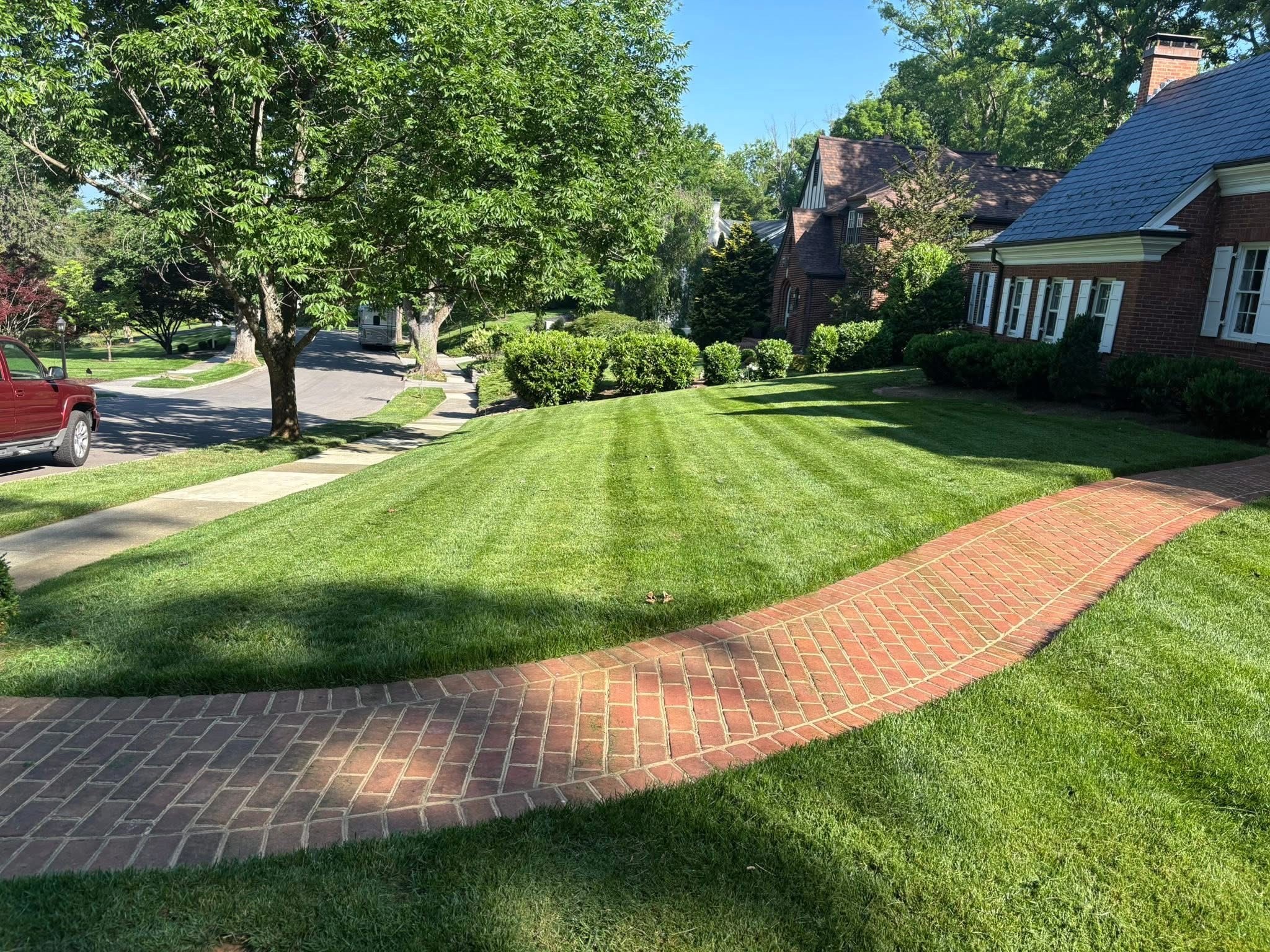 Well-maintained lawn with striped grass, brick pathway, trees, and houses in the background under a clear sky.