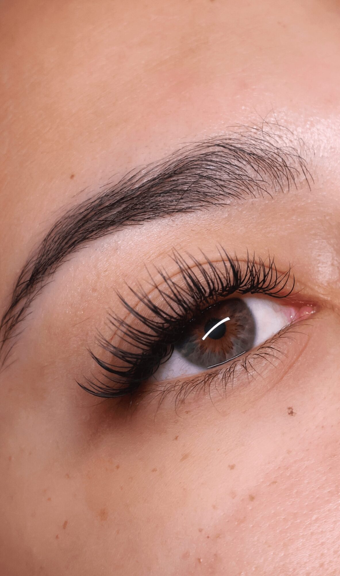 Close-up of a person's eye with well-groomed eyebrow and long eyelashes, showing eye makeup and skin texture.