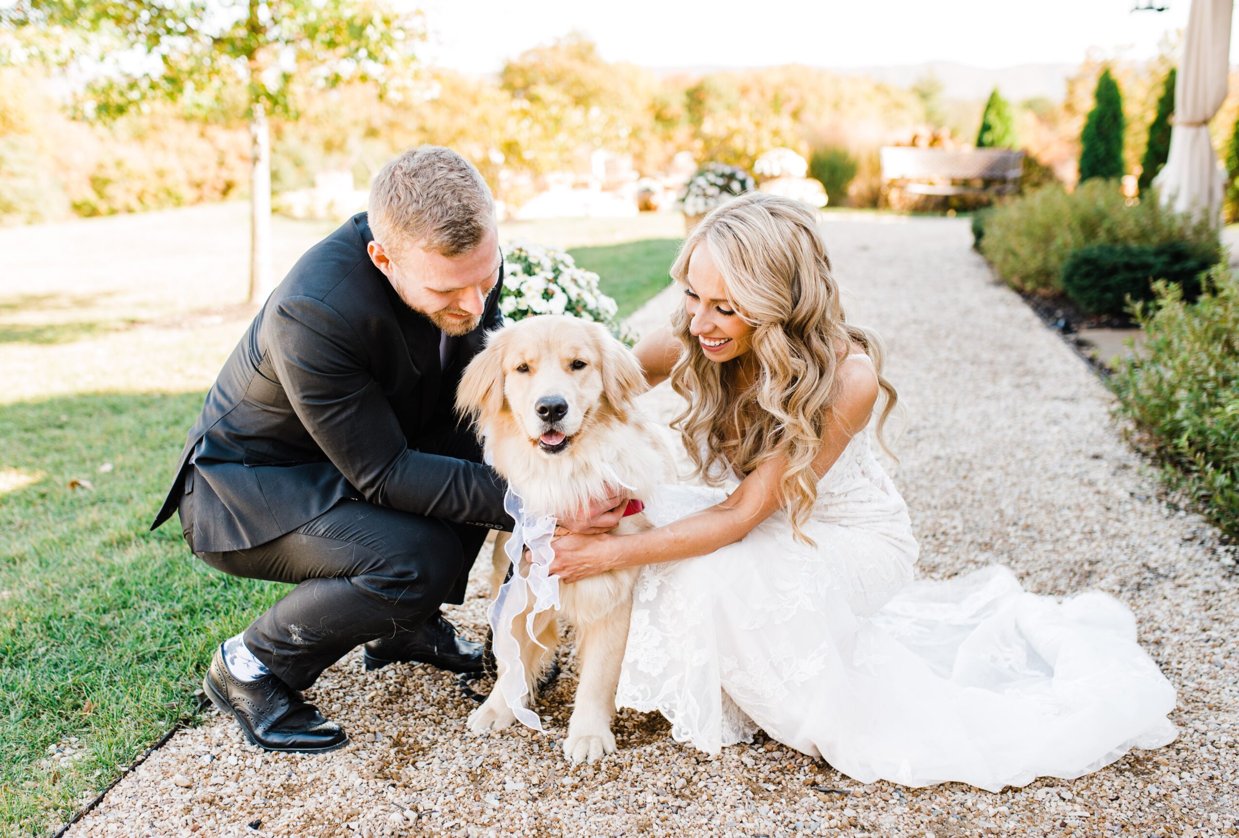 Bride, groom, and dog outdoors on a gravel path with greenery and trees in the background.