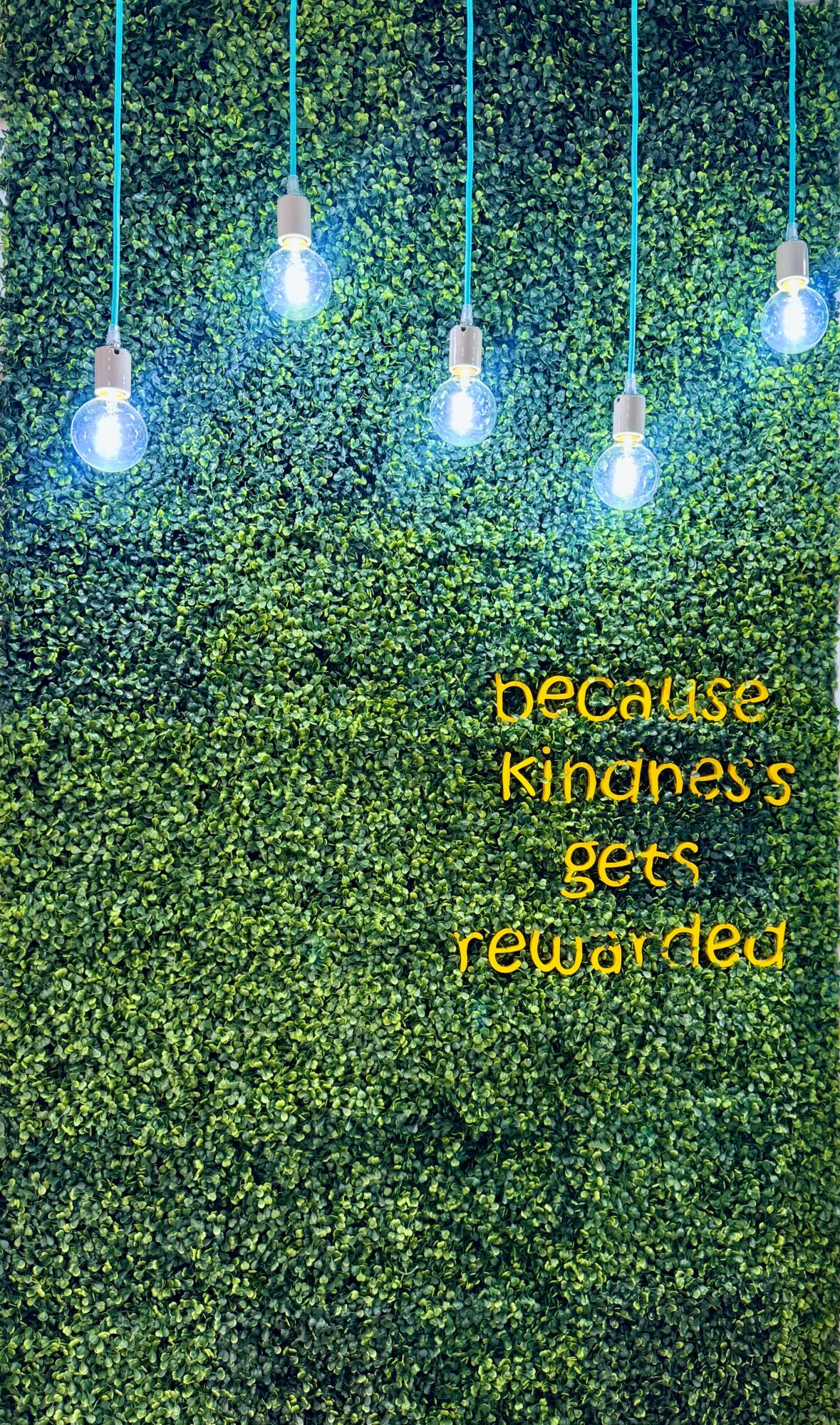 Five hanging light bulbs against a green textured background with yellow text reading, 'because kindness gets rewarded'.
