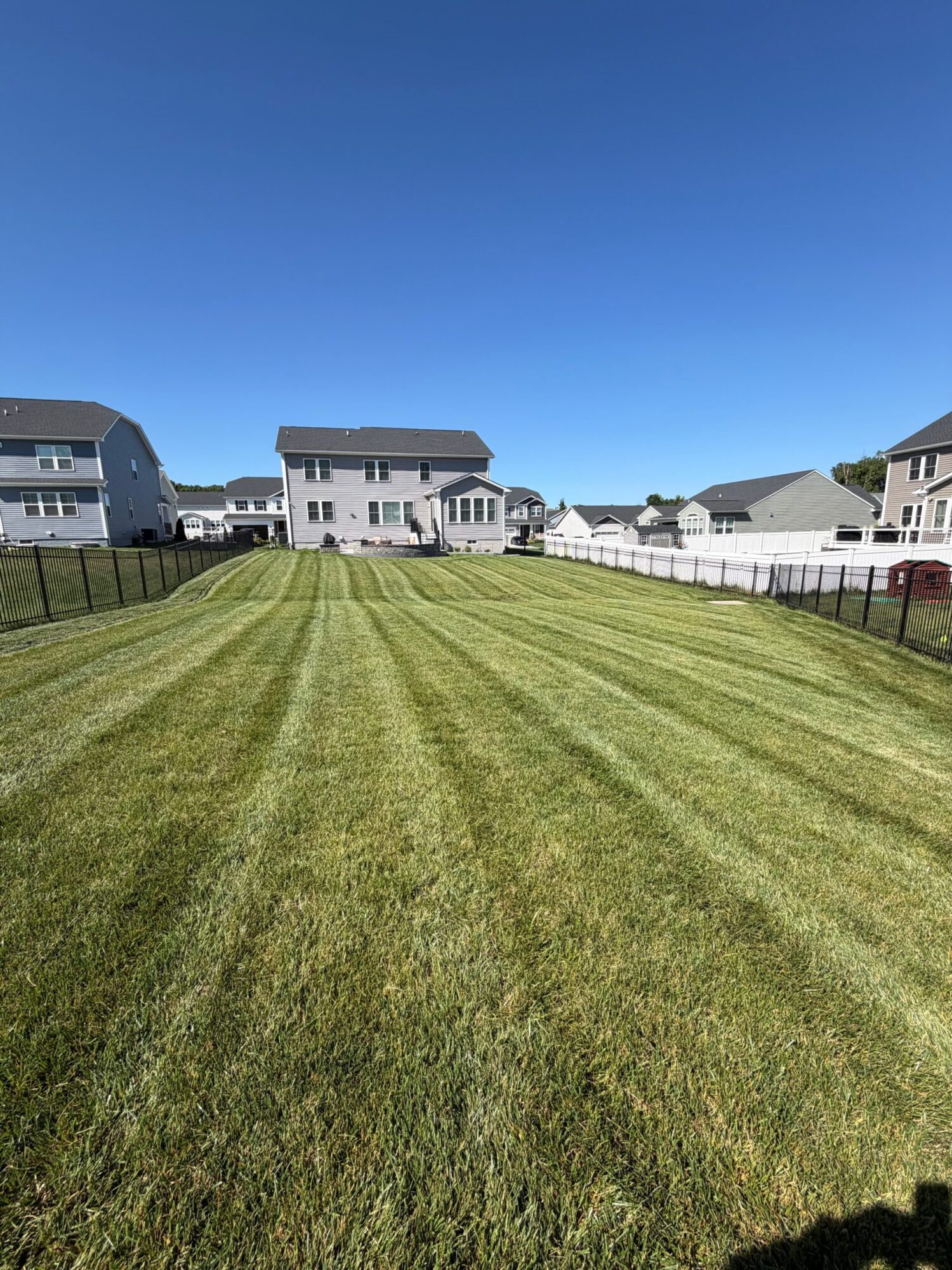 Lawn with striped grass, houses, and a clear blue sky in the background.
