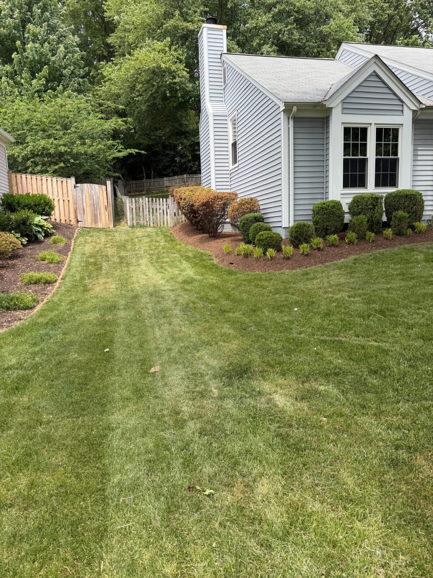 A house with a well-maintained lawn, shrubs, and a garden bed, viewed from the side with the house on the left.