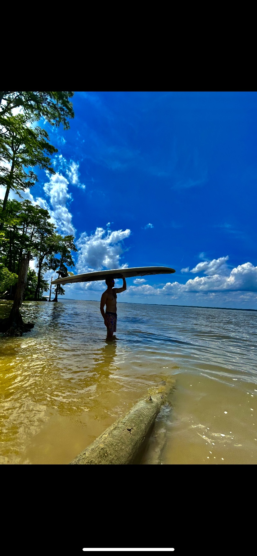Person standing in water holding a surfboard, trees on the left, blue sky with clouds, shoreline visible.