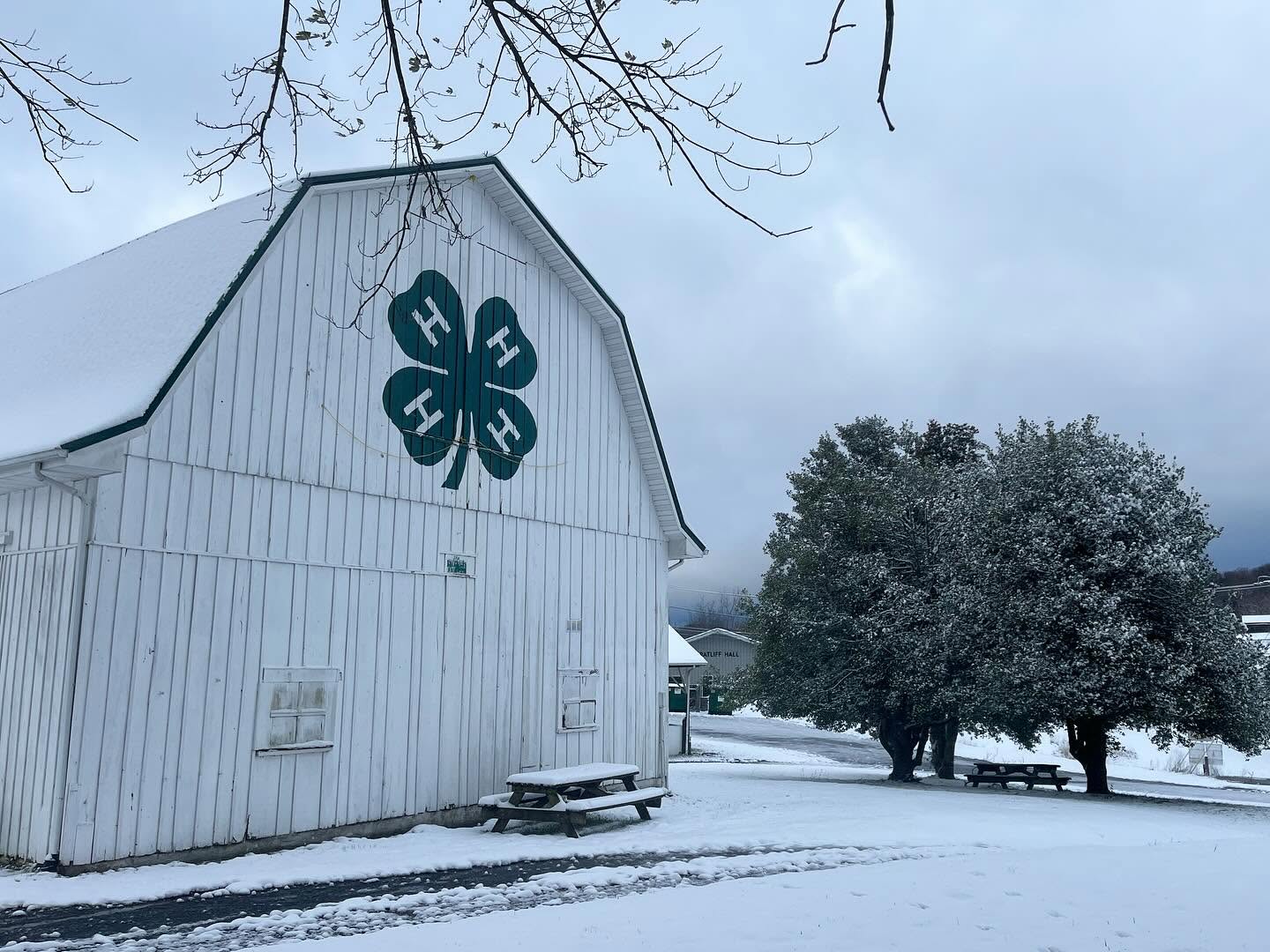 Snow-covered landscape with a white building featuring a four-leaf clover symbol, trees, and a cloudy sky.