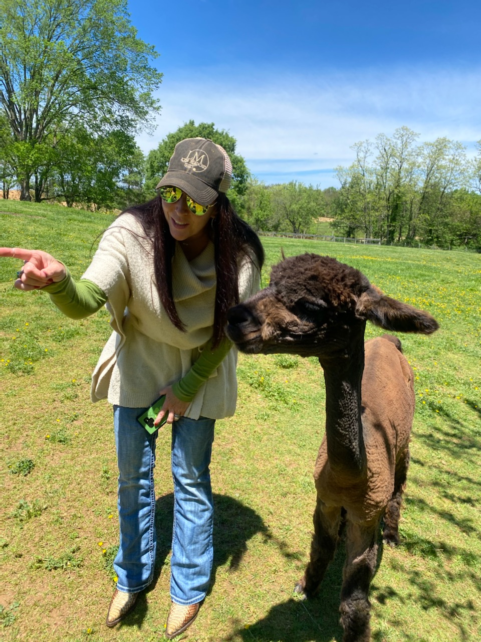 Person wearing a hat and glasses interacts with a young brown foal outdoors on a sunny day.