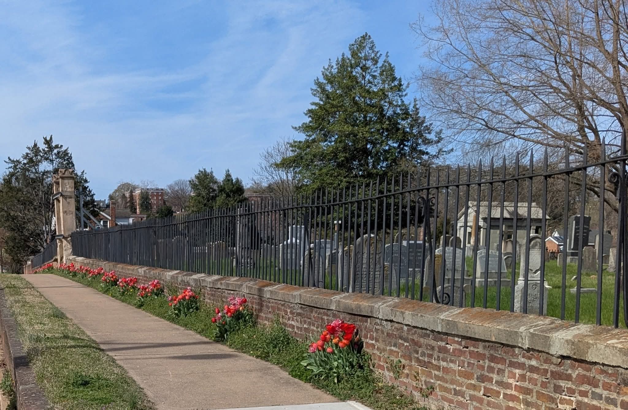 Sidewalk with a brick wall and metal fence, flowers along the sidewalk, trees, and a blue sky.