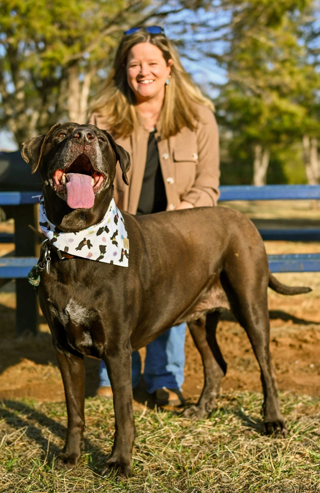 Woman smiling behind a large dog with a bandana, outdoors in a park with trees and a fence.