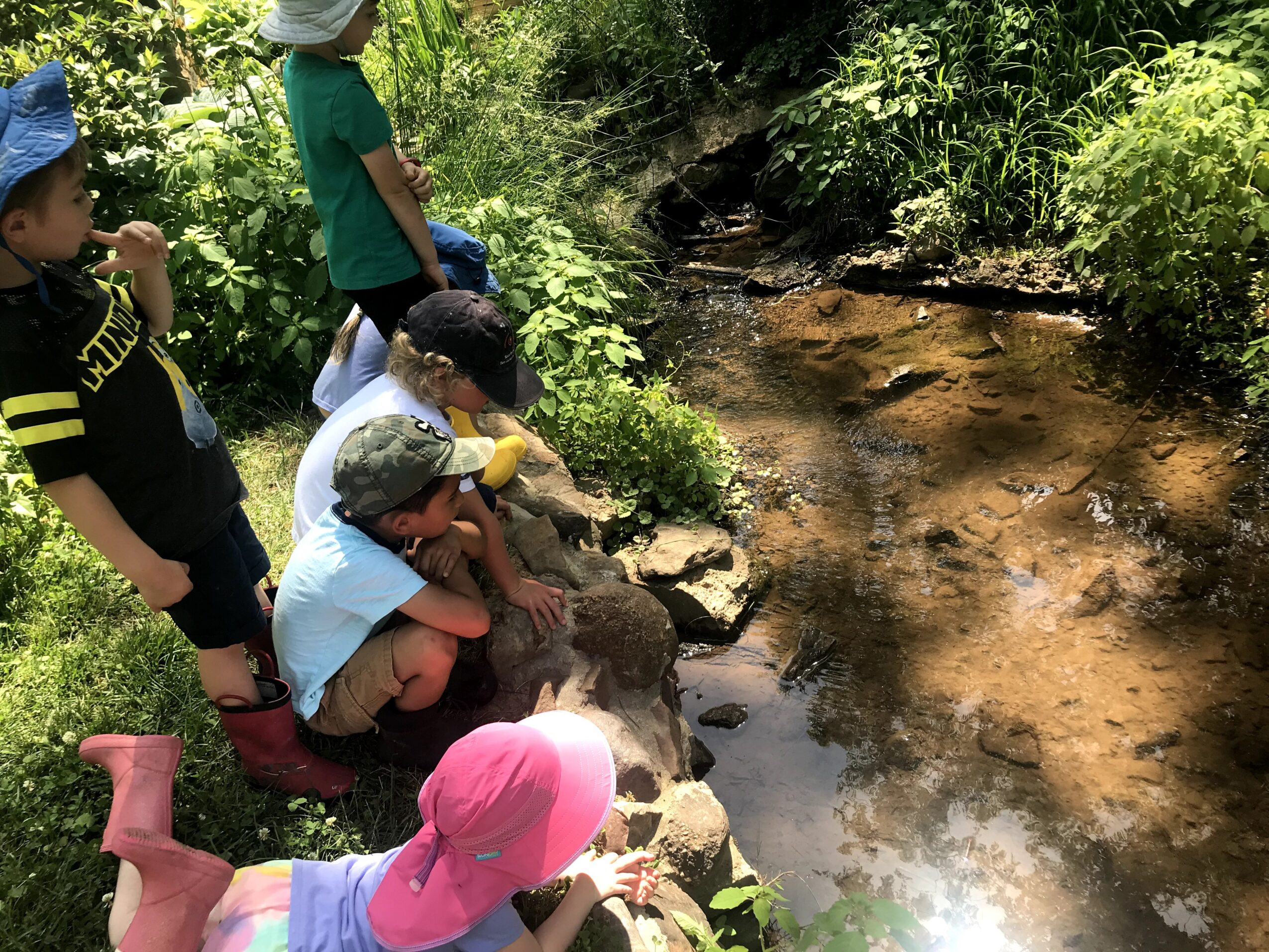 Group of children by a small creek in a green, wooded area, some sitting and some standing, exploring nature.