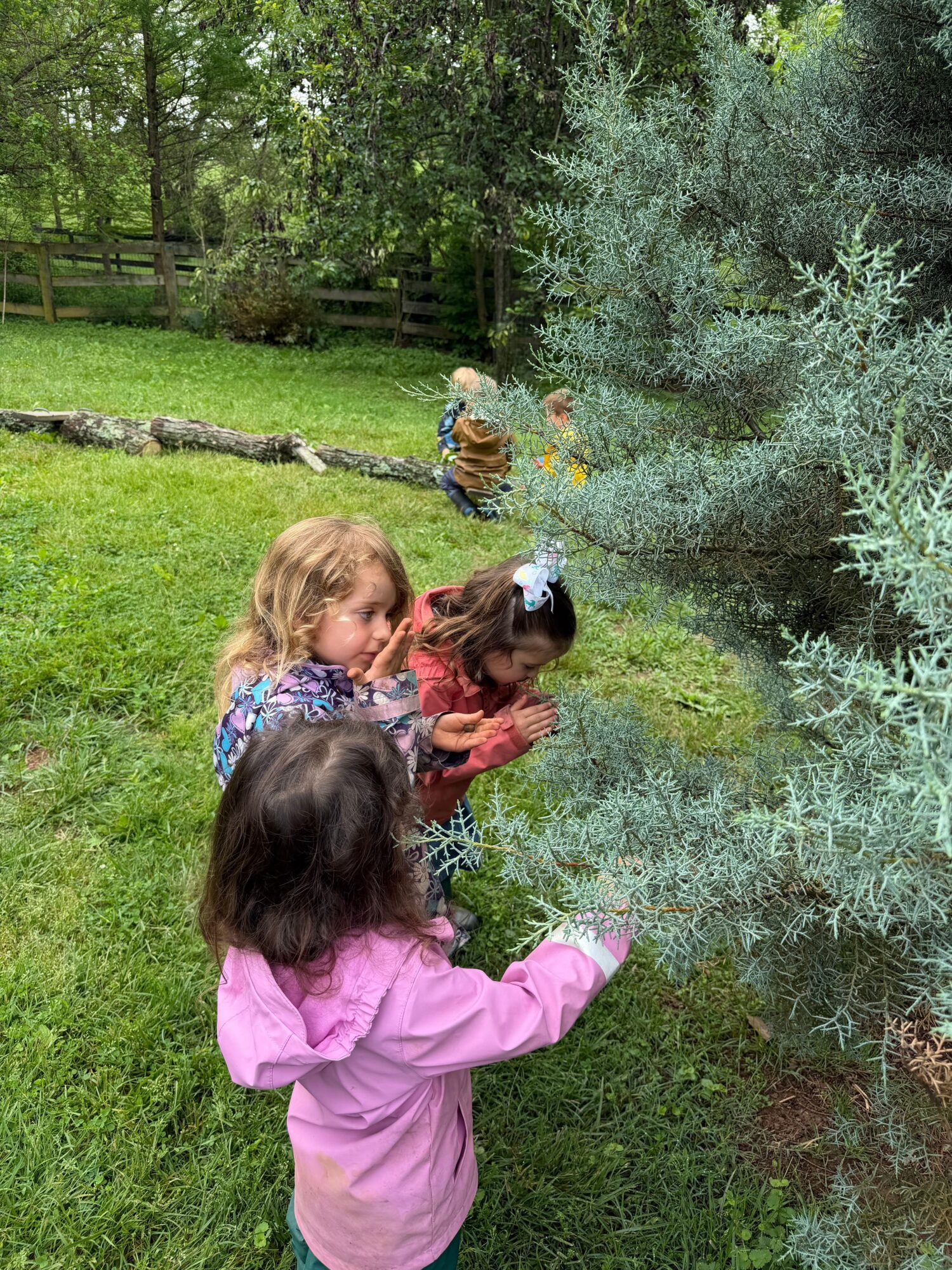 Three children and a bird in a garden with green grass and bushes, children watching the bird closely.