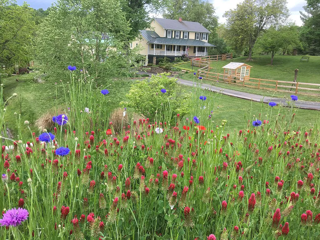 House with a porch, surrounded by green trees and a garden with red and purple flowers, under a cloudy sky.