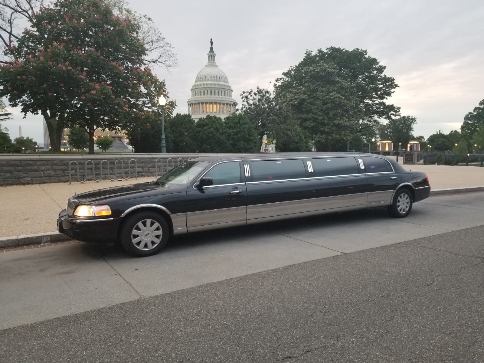 Black limousine parked on street with Capitol building and trees in background.