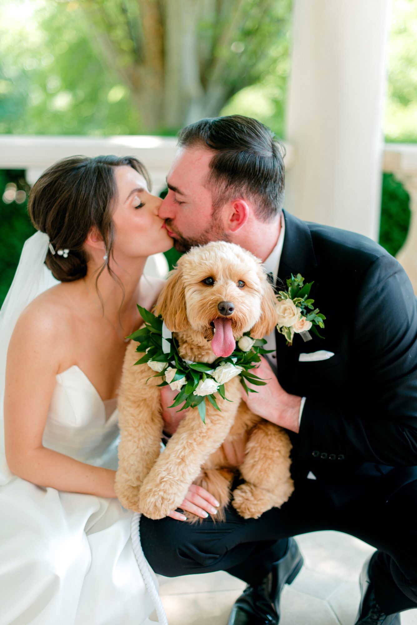Bride and groom kiss while holding a small dog with a flower collar, in a bright outdoor setting.