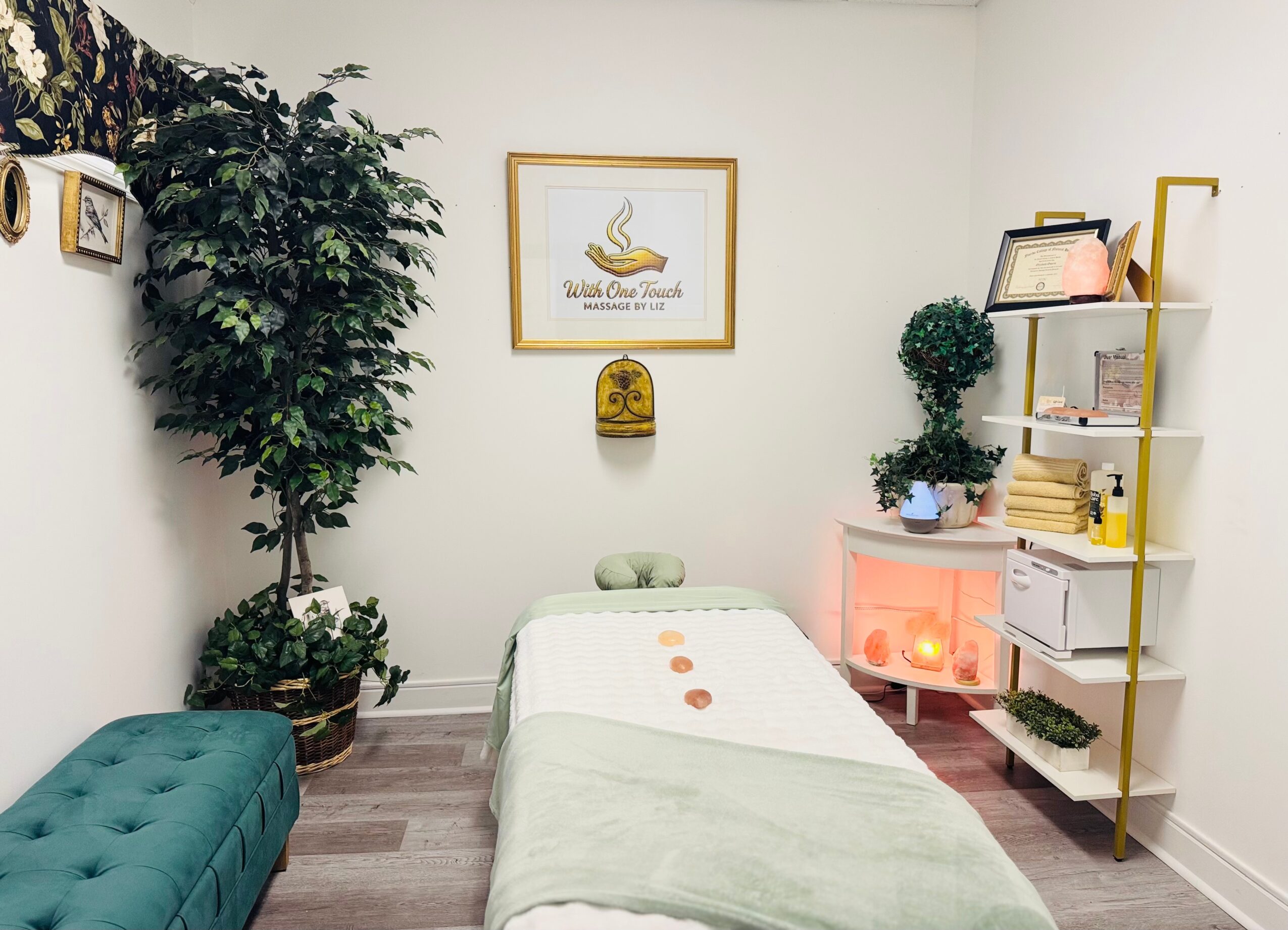 Treatment room with massage table, green plant, shelf with books, and decorative items, in a cozy, well-lit space.