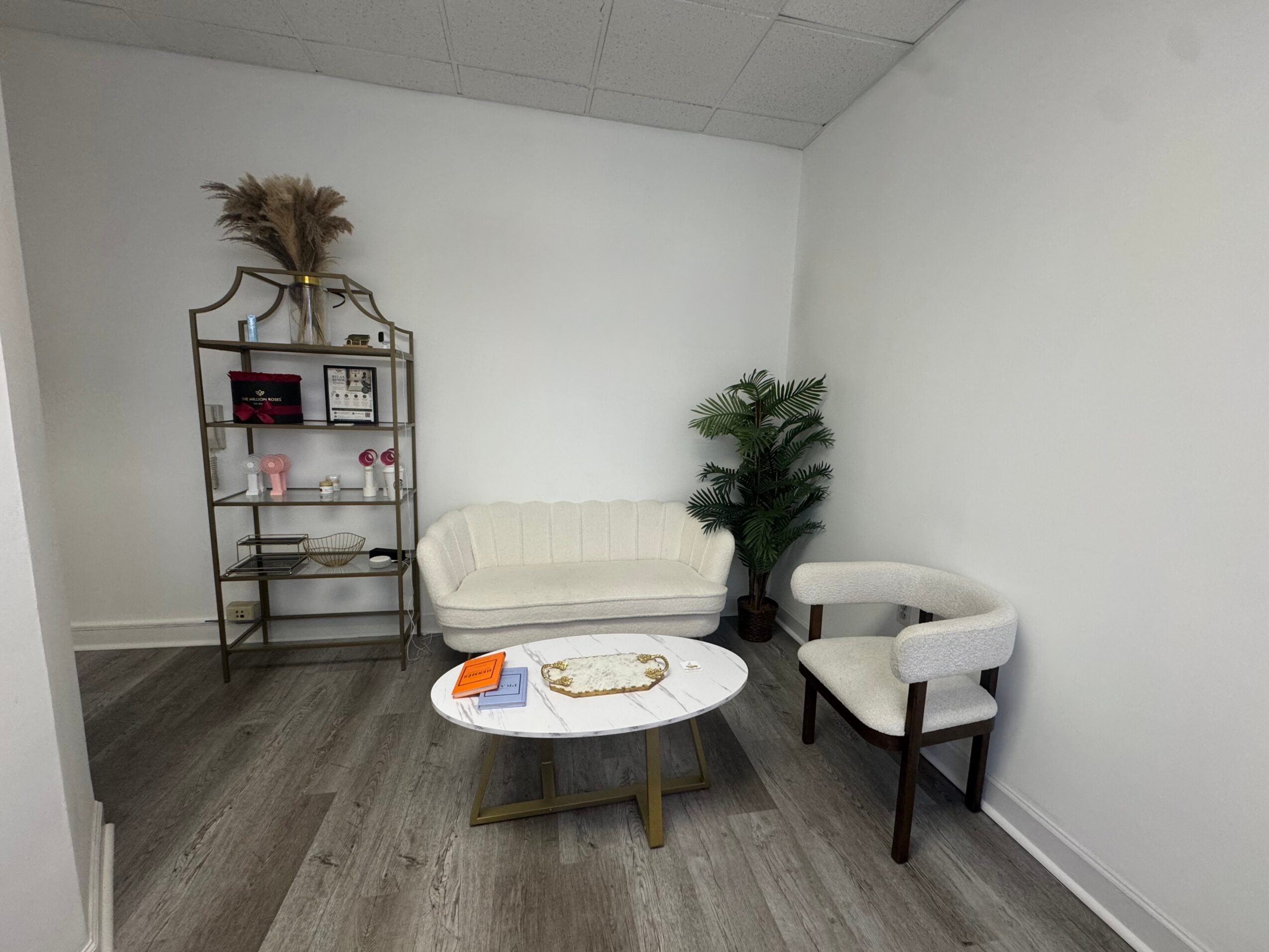 Room with white sofa, armchair, small table, and a shelf with decorative items, a plant, and a white wall.