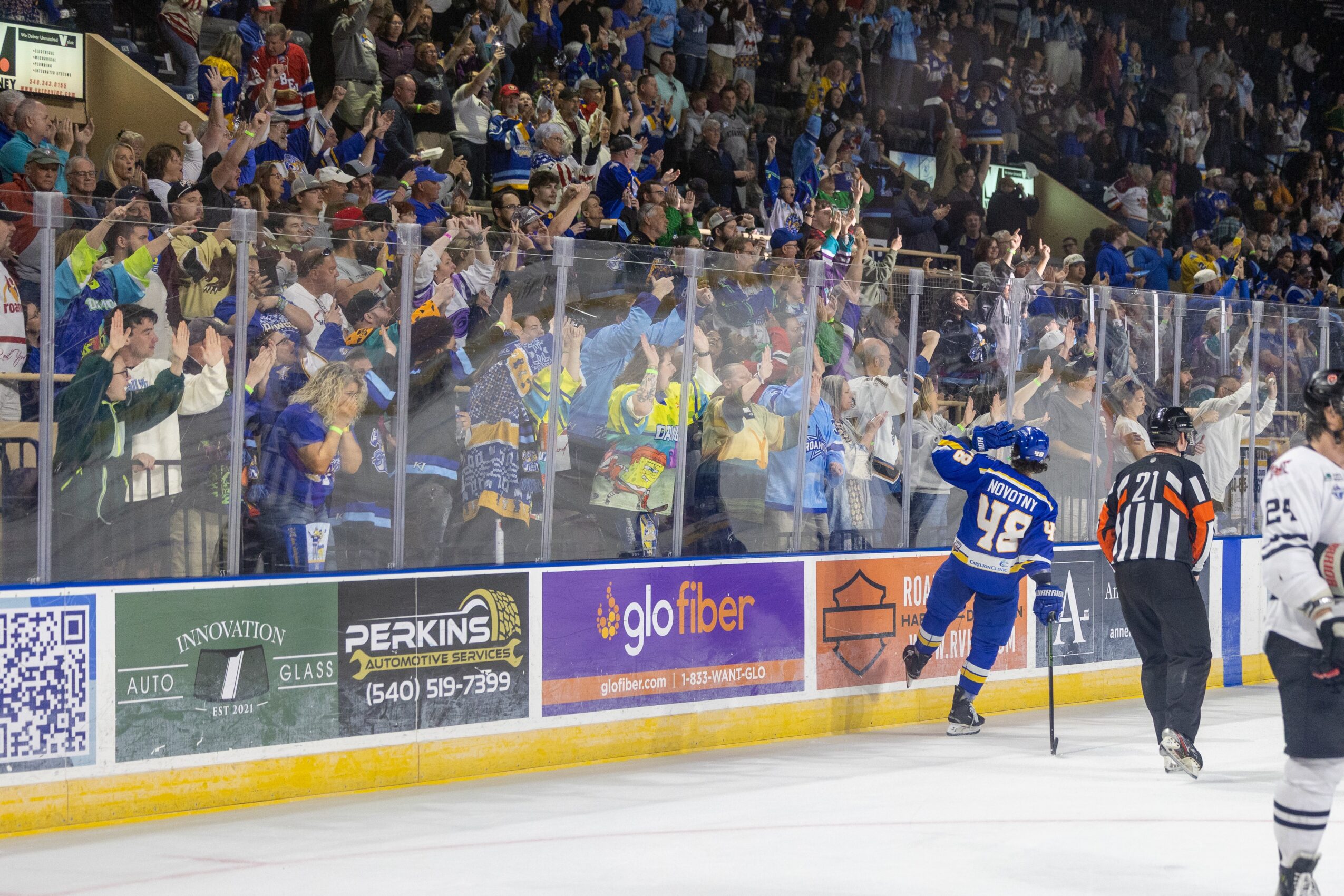 Hockey game with players near the rink and a crowd in the stands, some fans waving flags, glass barrier visible.