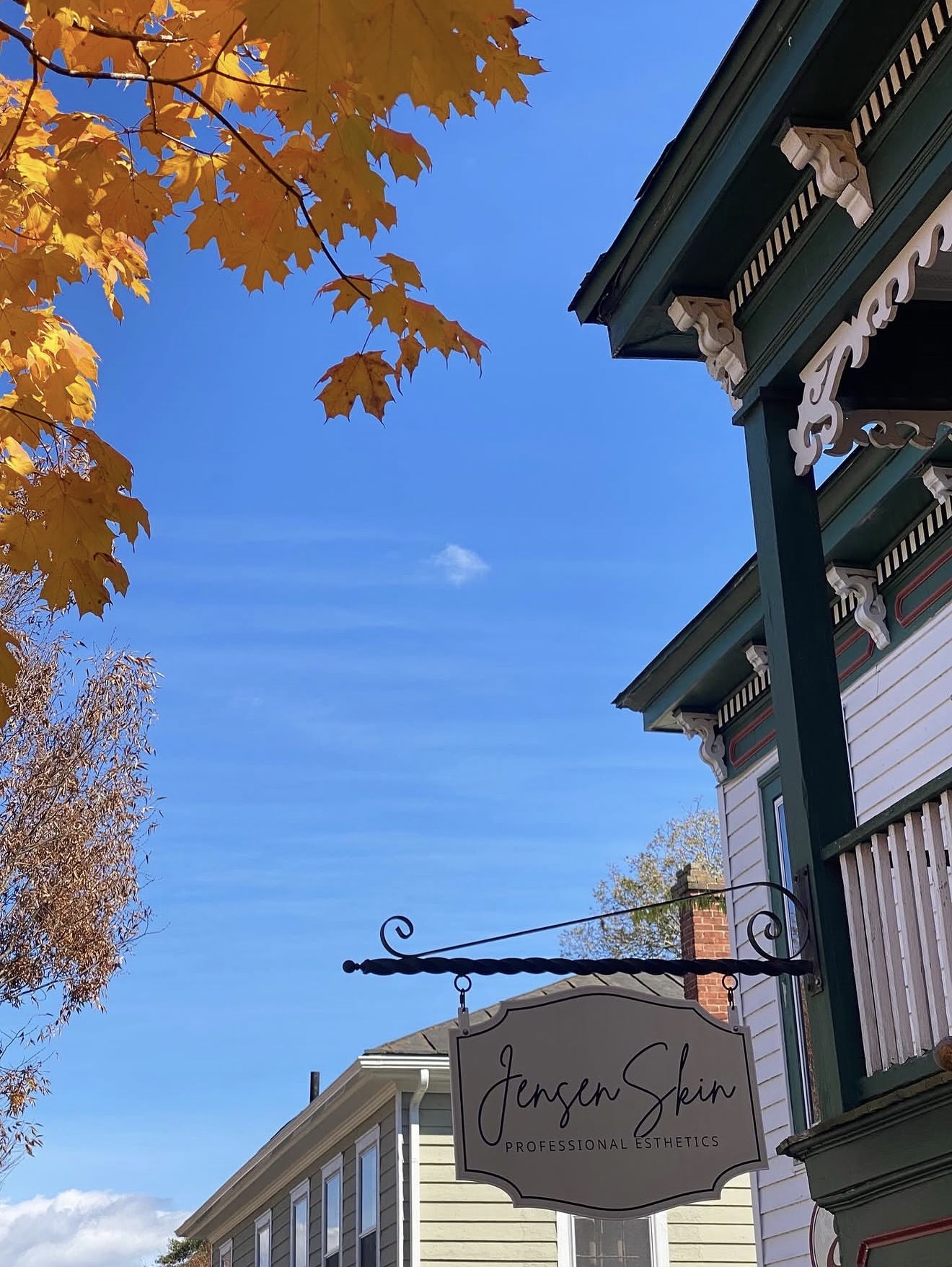 Blue sky with tree branches and leaves, and part of a building with decorative trim and a sign reading 'Jansen Skin'.