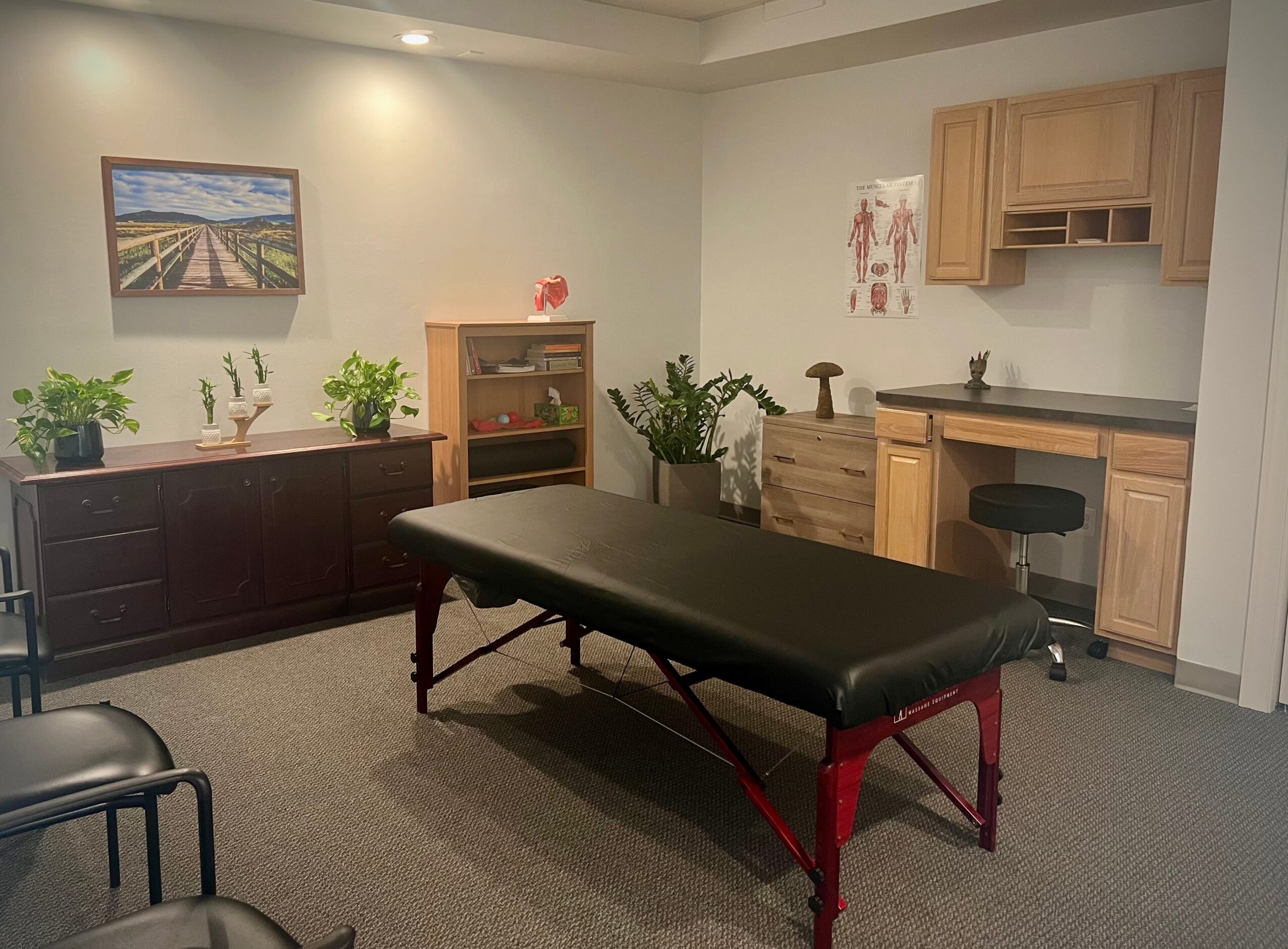 Room with massage table, cabinets, plants, and a painting on the wall, with chairs in the foreground.