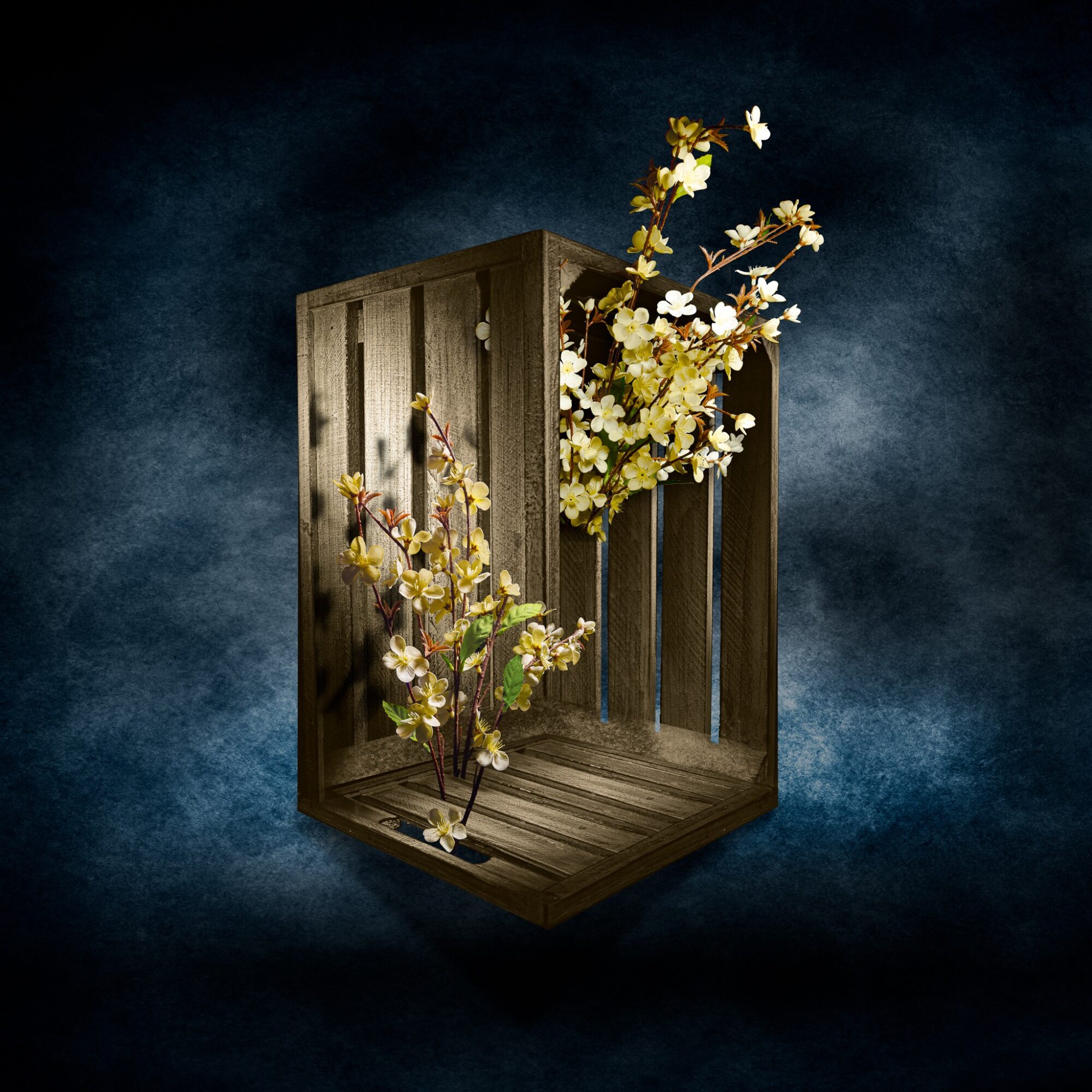 Wooden crate with flowering branches inside, set against a dark textured background.