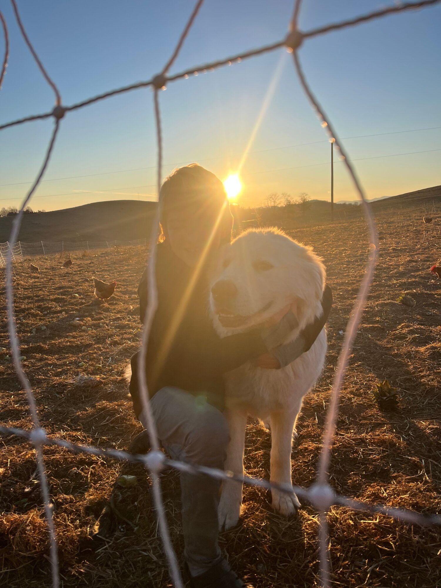 Person and dog outdoors at sunset, viewed through a net, with the sun near the horizon.