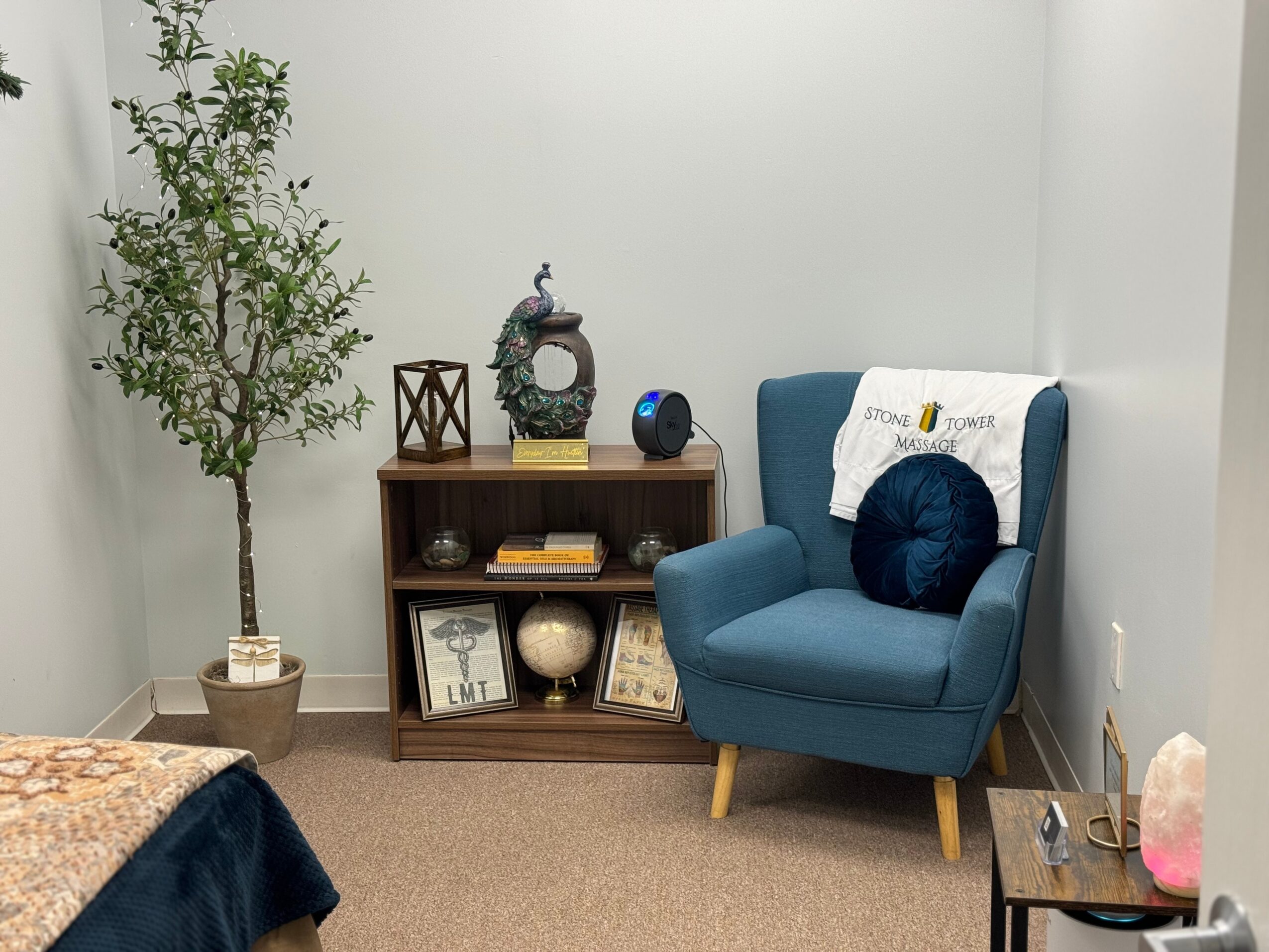 Living room corner with a blue armchair, wooden shelf, potted plant, and decorative items, against white walls.