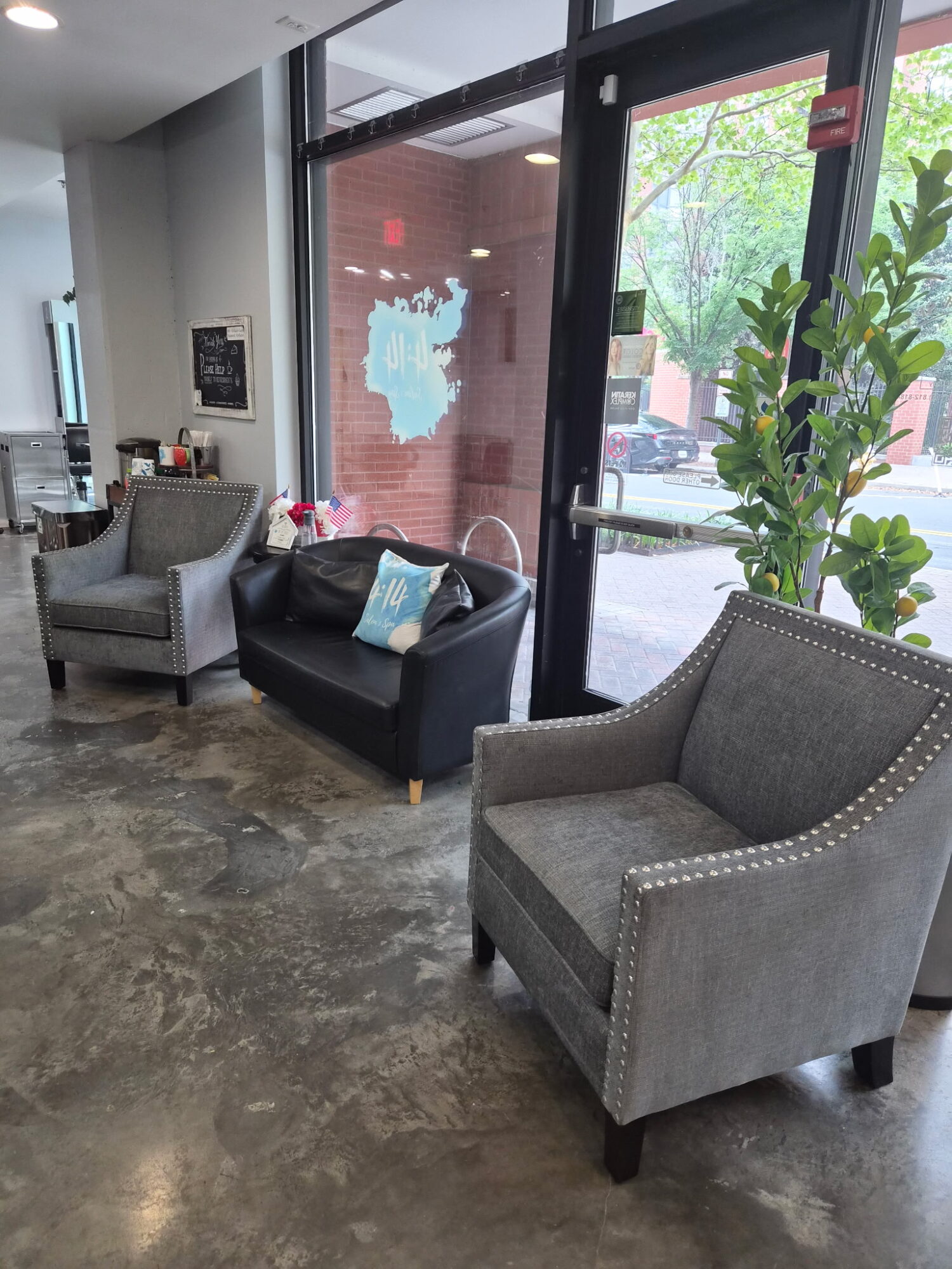 Indoor seating area with chairs, a window, and a large plant, with a concrete floor and natural light.
