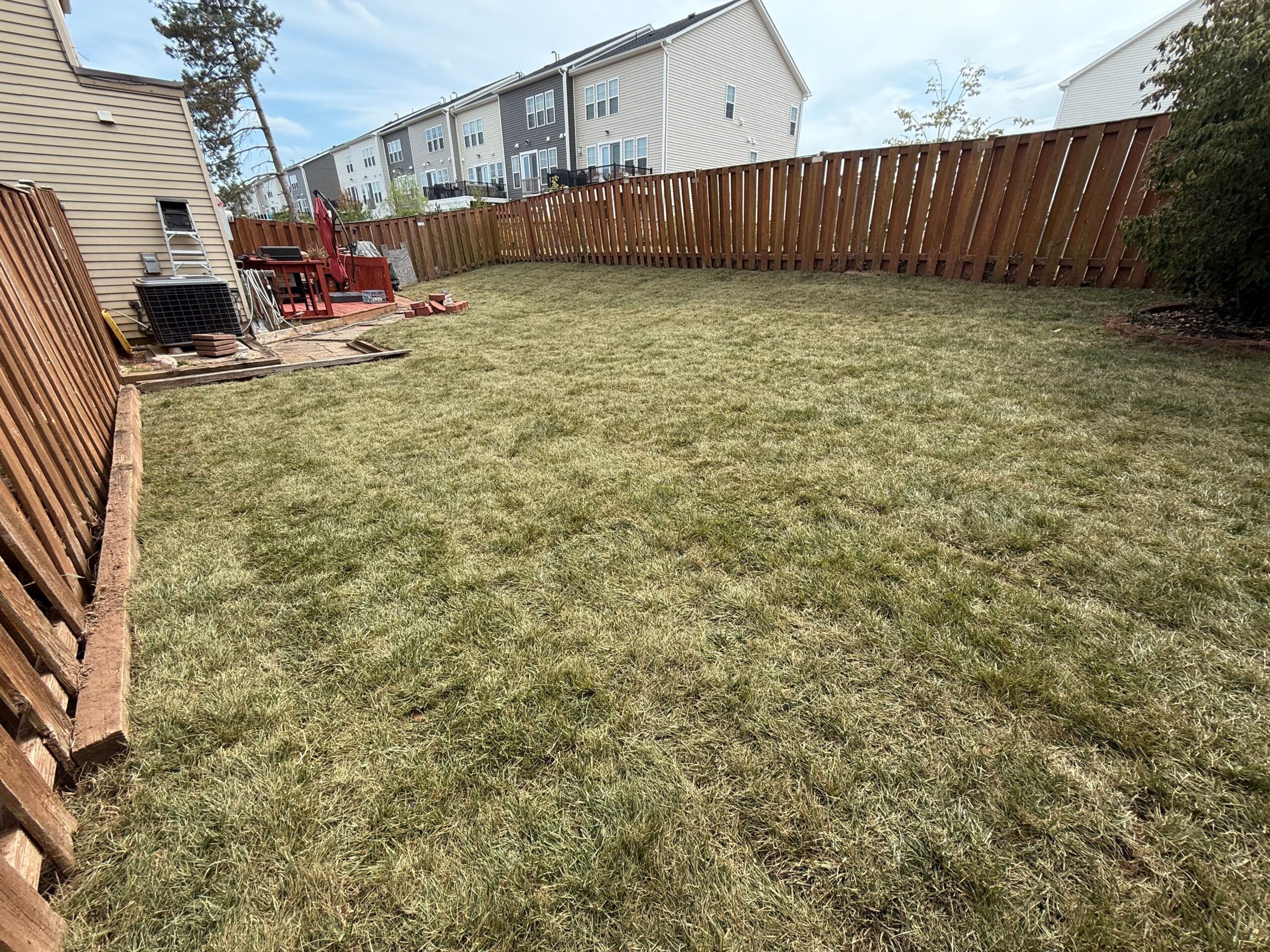 A backyard with grass, a wooden fence, and neighboring houses under a blue sky.