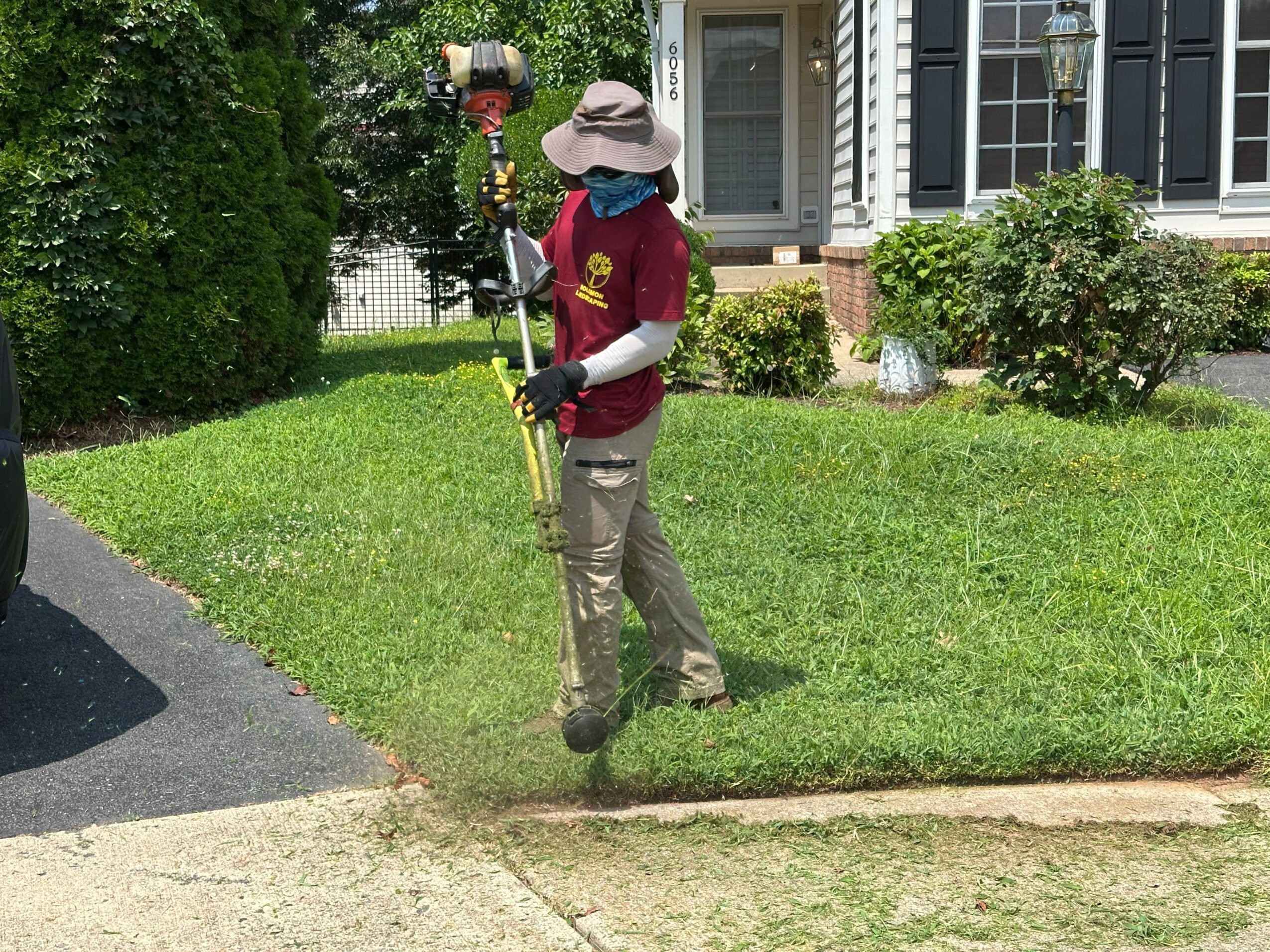Person watering plants in a garden with green grass and bushes, with a sidewalk and house in the background.