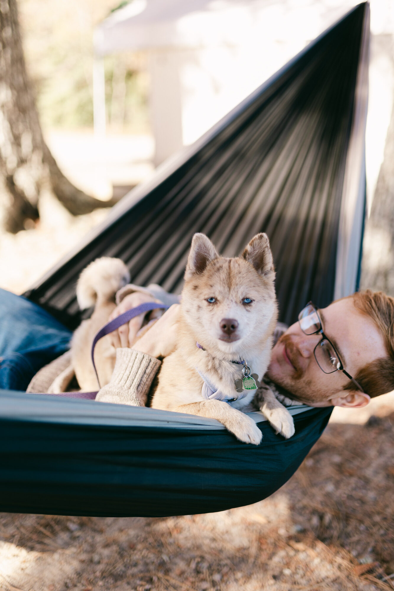 Person lying in a hammock with a dog, outdoors with trees and sunlight, person smiling and wearing glasses.