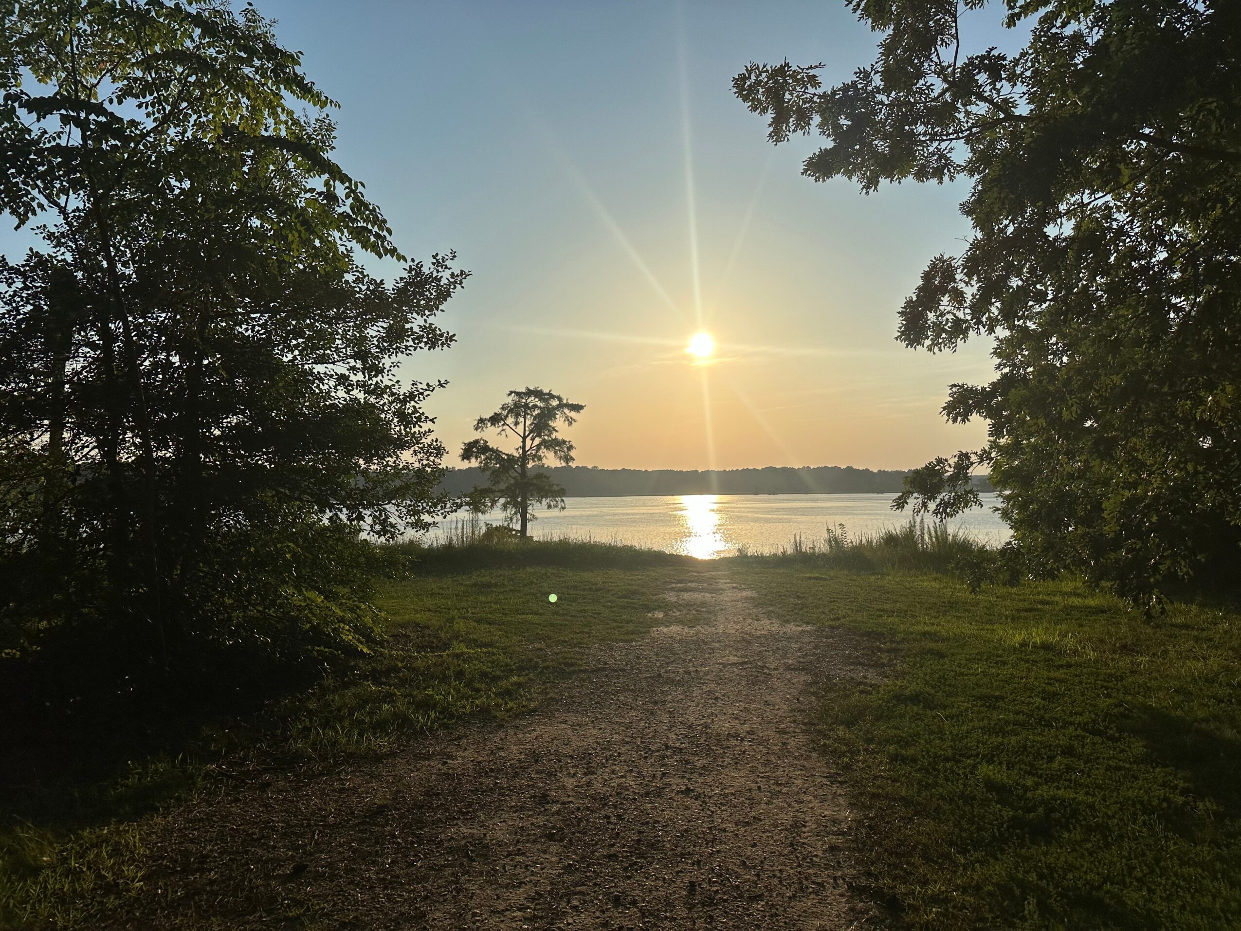 Sunset over a lake with trees on both sides, a dirt path leading to the water, and a clear sky.