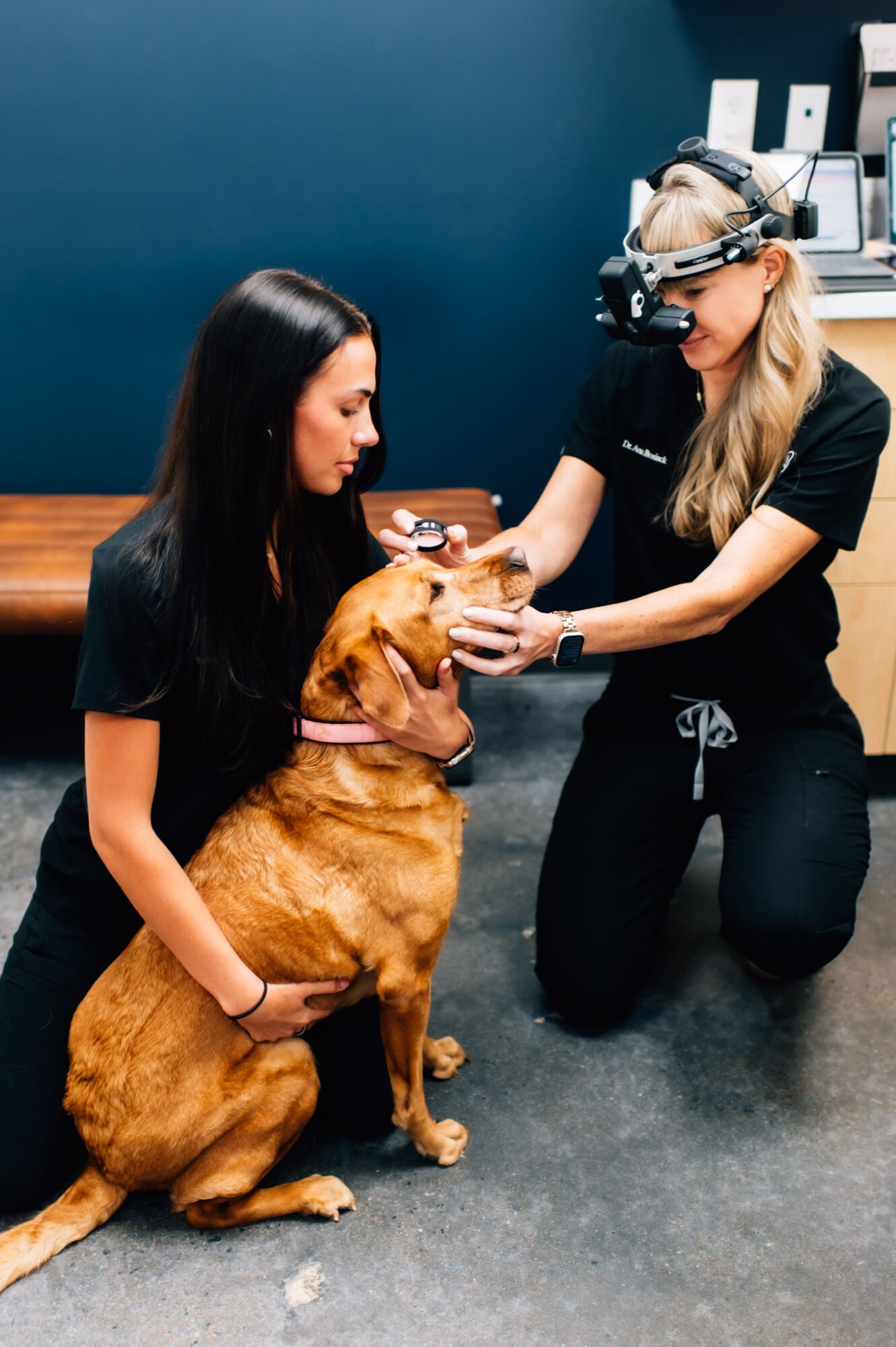 A woman with long dark hair and a woman with blonde hair wearing magnifying glasses examine a dog in a room with a blue wall and wooden table.