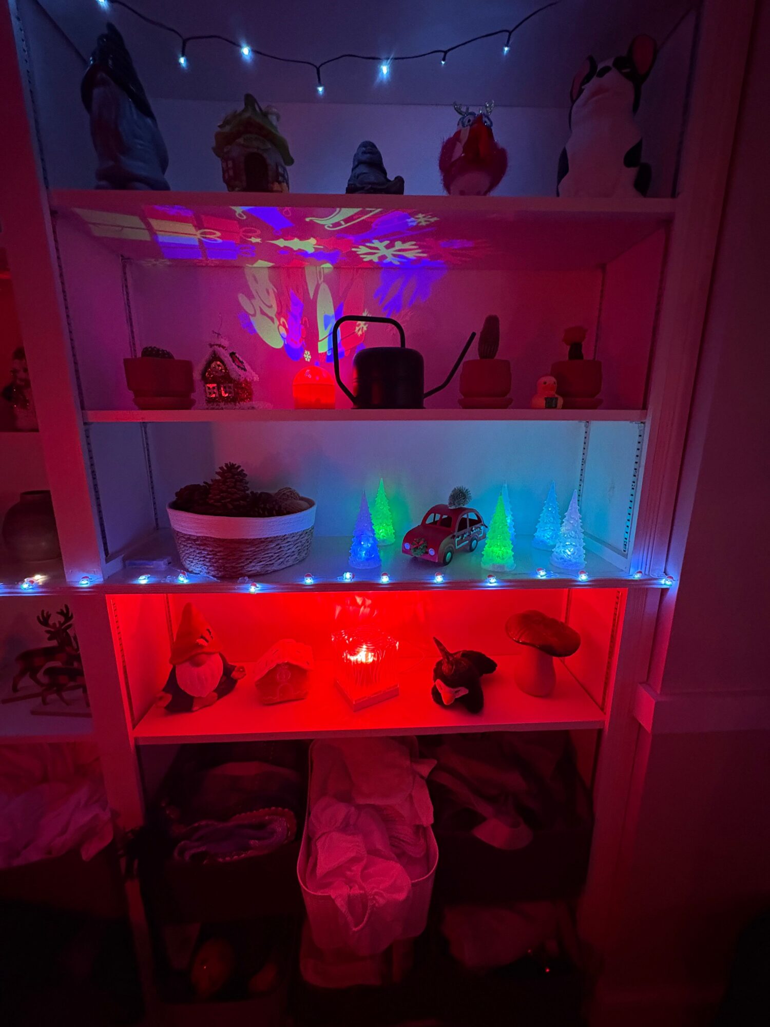 Display case with colorful lights and objects inside, illuminated in red and blue, with a dark background.