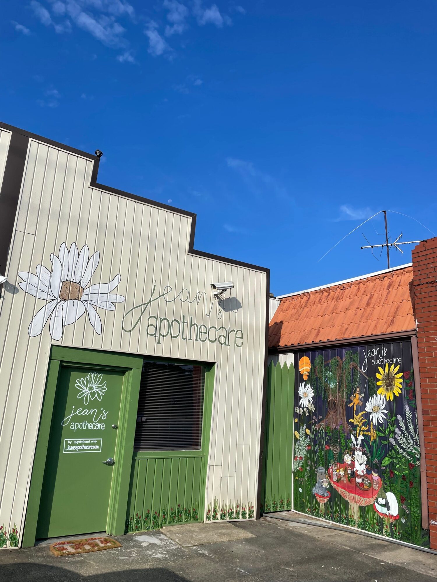 Building with painted flower and butterfly, green door, and colorful window display, under a blue sky.