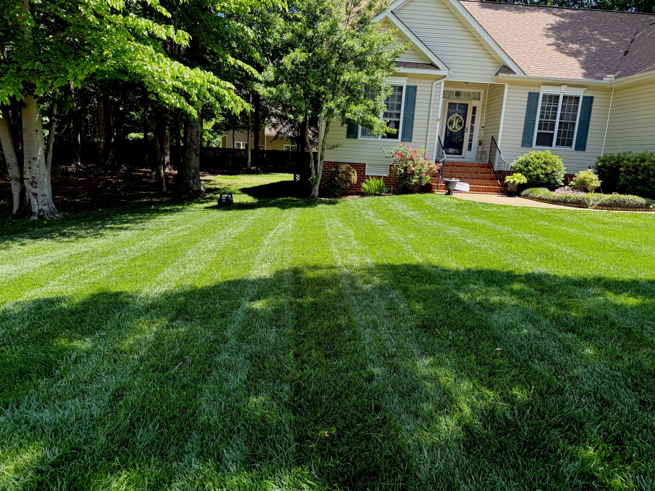 Front yard with green lawn, trees, and a house with steps and a porch, under a clear sky.