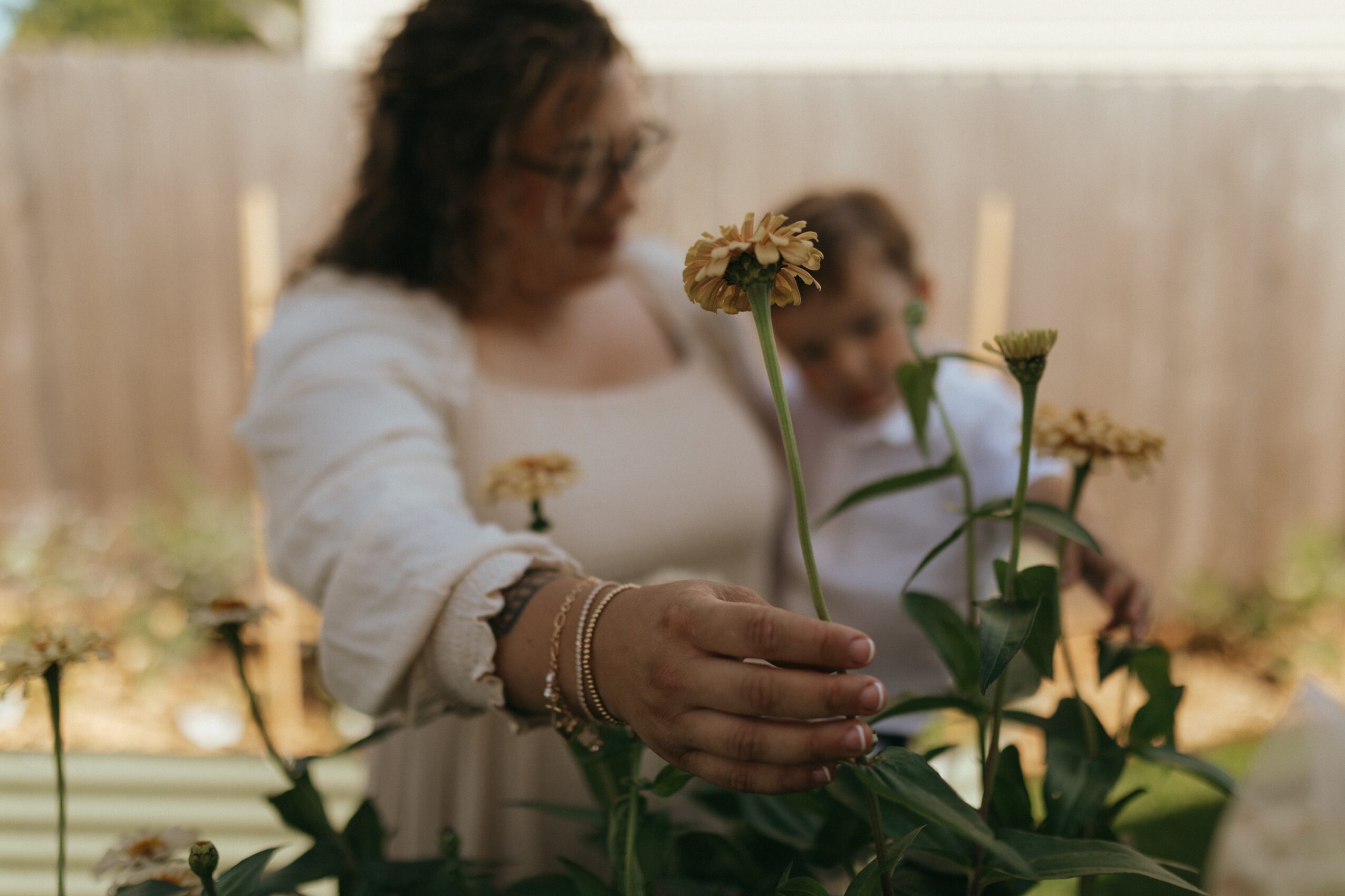 Person holding a yellow flower in a garden with a wooden fence in the background.
