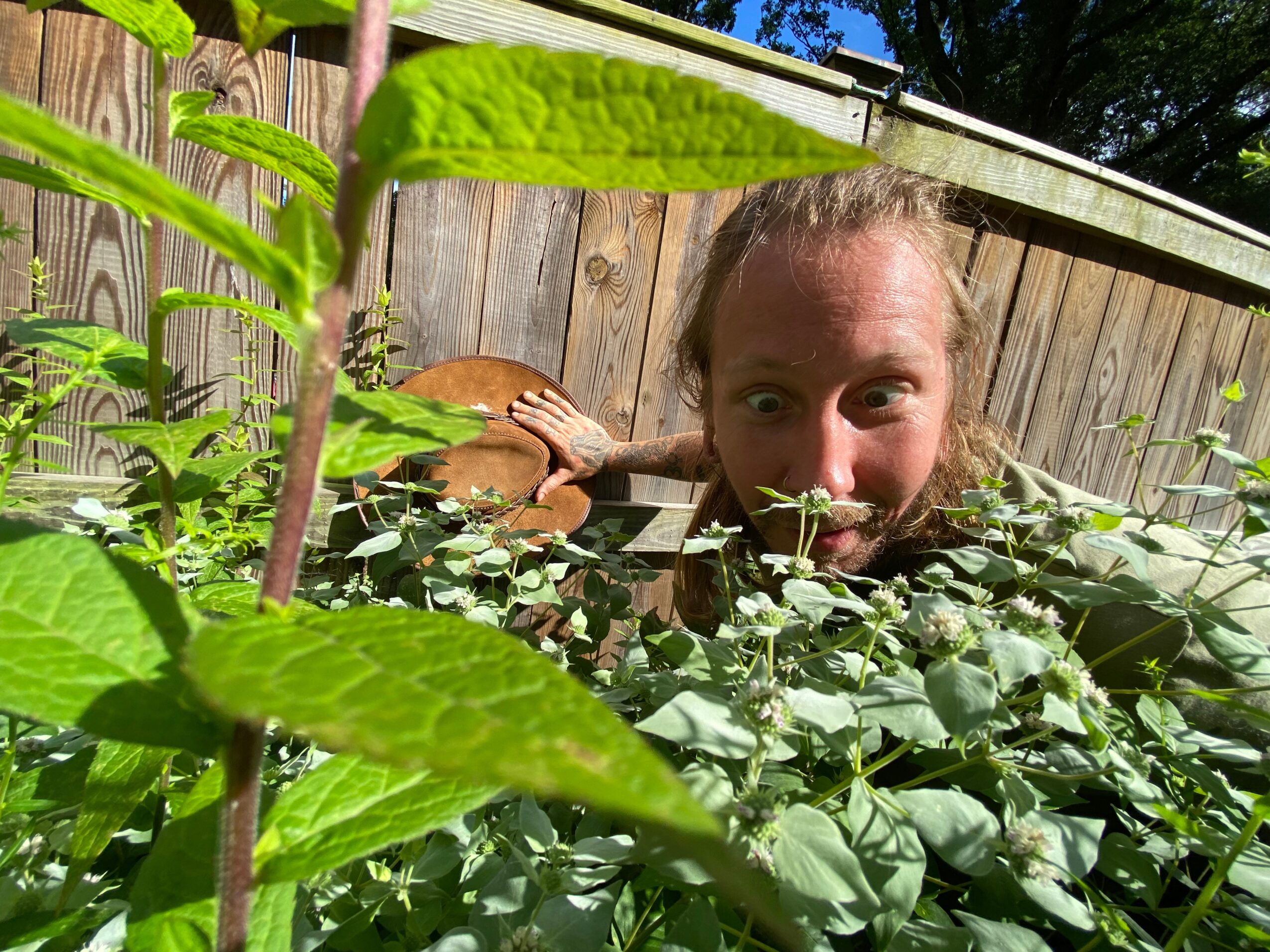 Person peeking over dense green foliage with a wooden fence in the background.