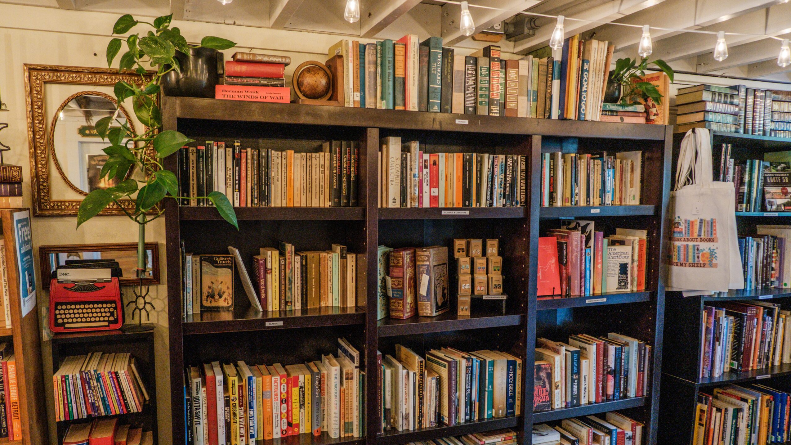 Bookshelves filled with books, a potted plant, and decorative items in a bookstore or library.