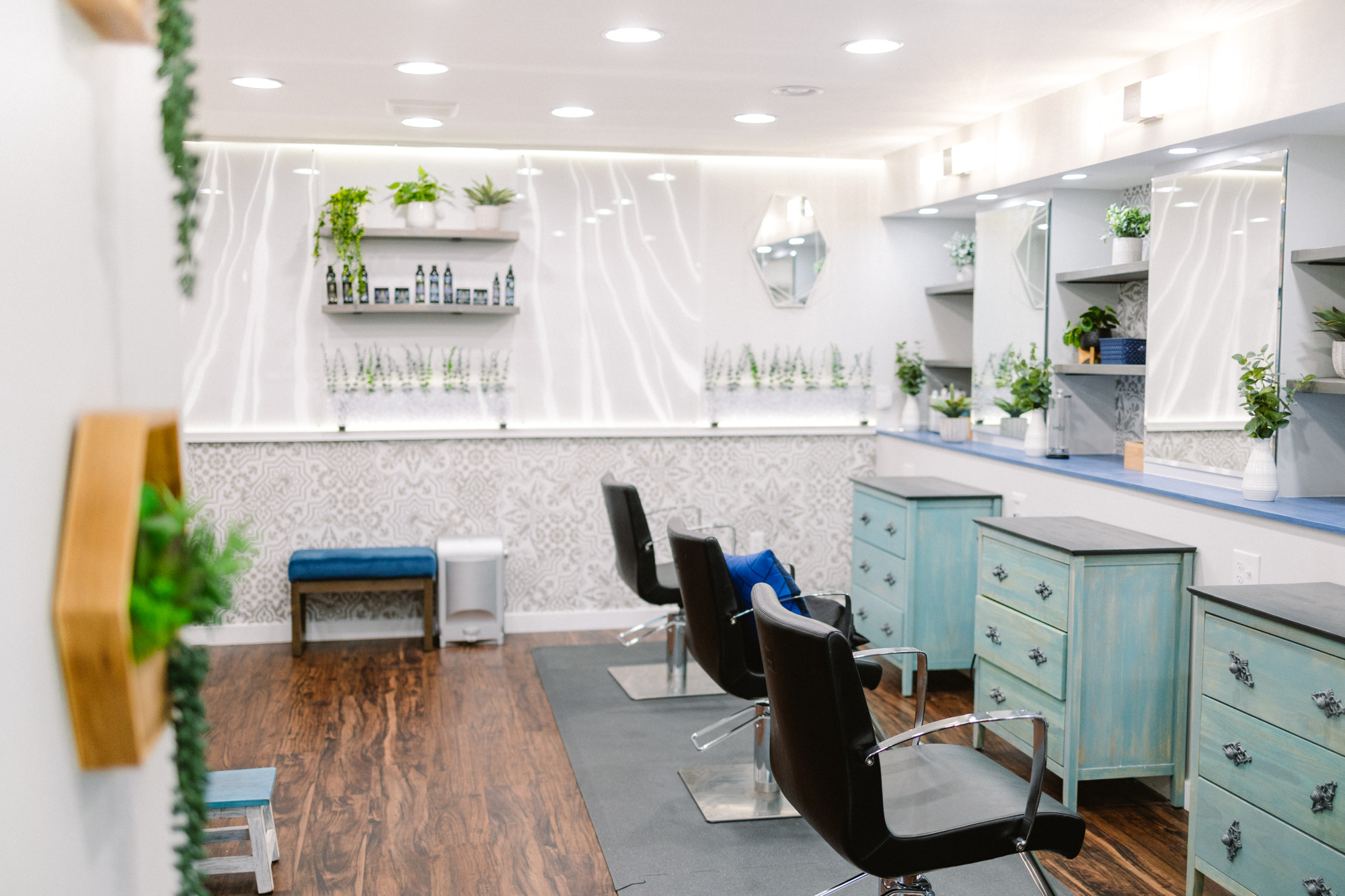 Salon interior with chairs, light blue cabinets, and shelves with plants and decorative items, bright and organized space.
