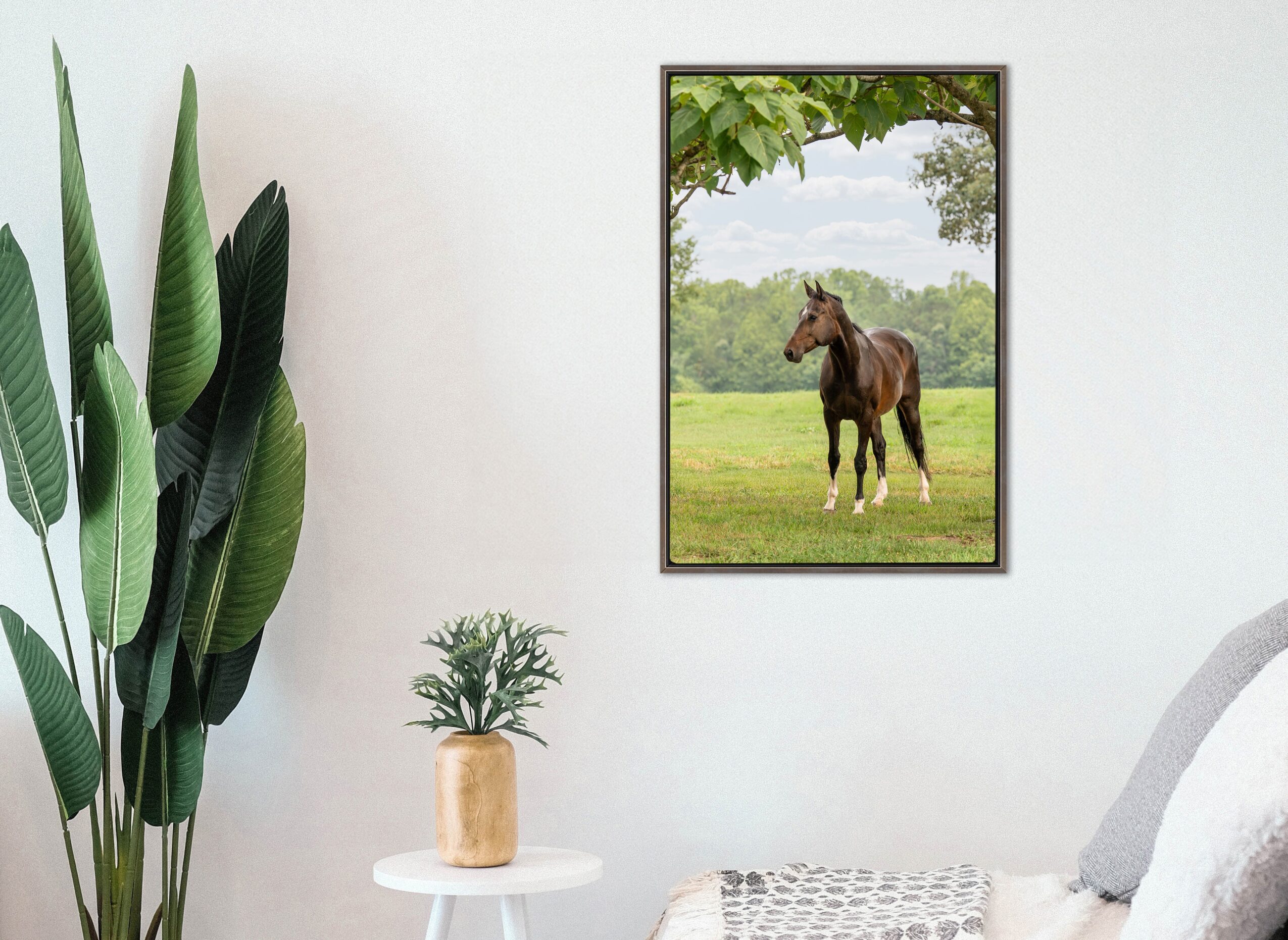 Framed picture of a horse standing in a grassy field with trees in the background on a white wall.