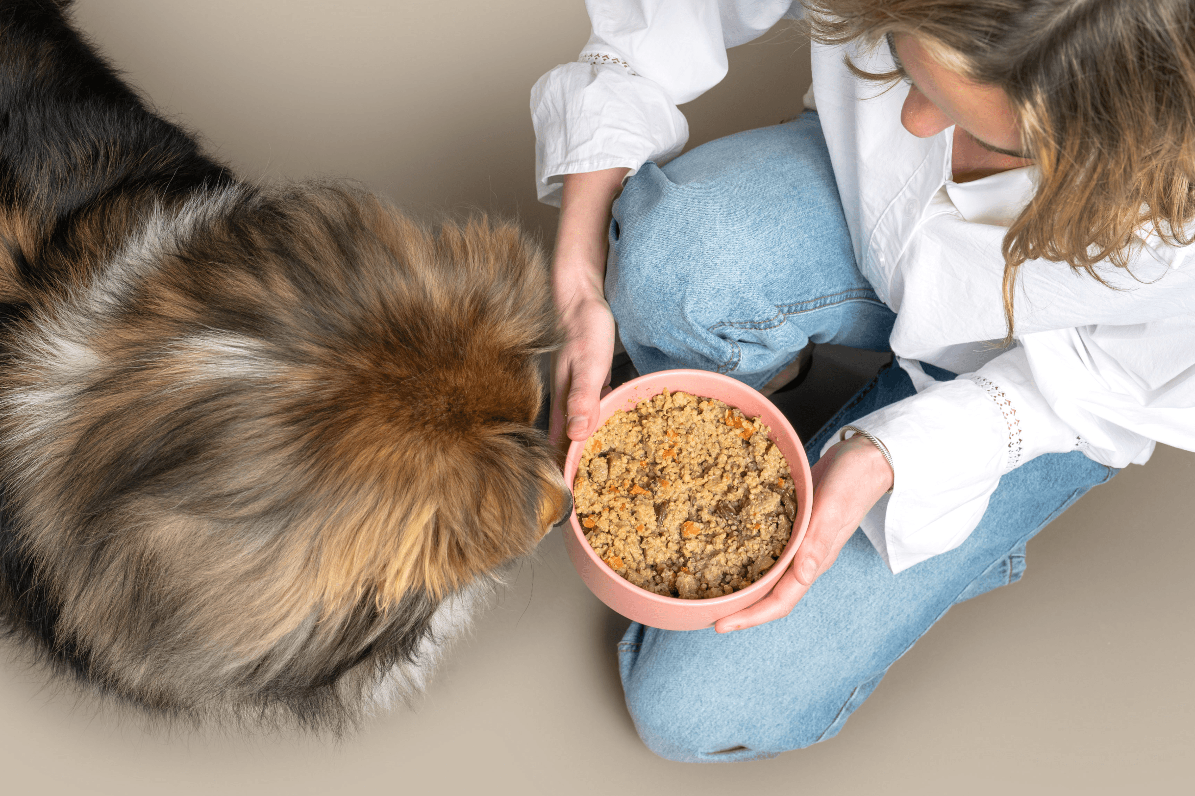 Person holding a bowl of dog food while a large dog eats from it, seen from above.
