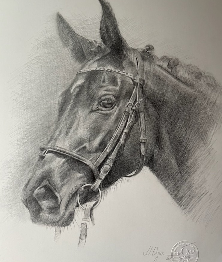 Pencil sketch of a horse's head with bridle, facing left, detailed shading, signature in bottom right corner.