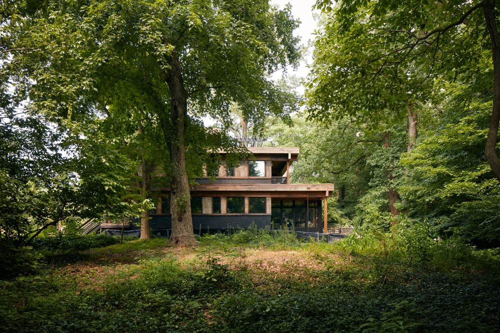 Modern house with large windows surrounded by tall trees and greenery, set in a lush forest environment.
