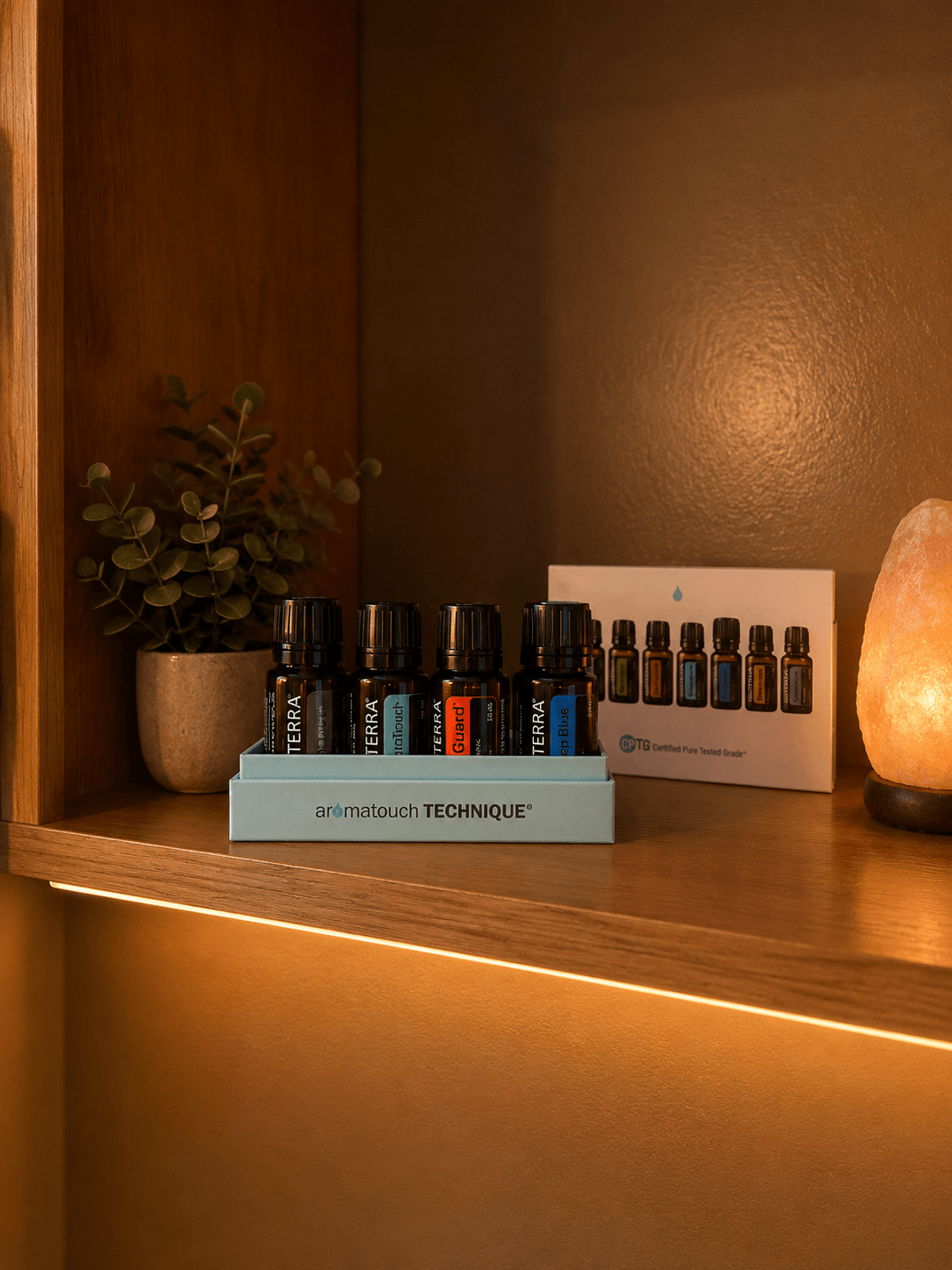Shelf with essential oils, a salt lamp, and a potted plant against a brown wall.