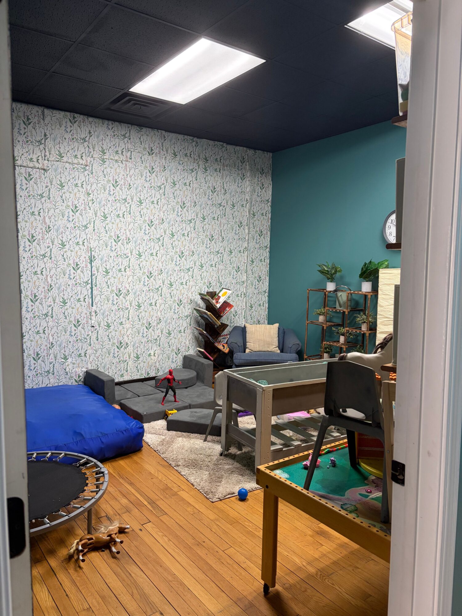 Office room with a desk, chair, computer, and a small dog on a trampoline, with a wooden floor and teal wall.