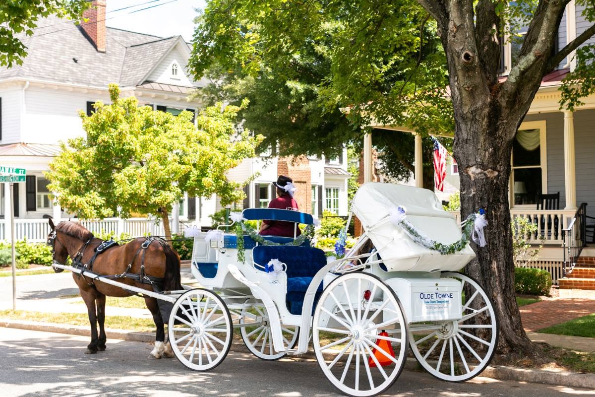 Horse-drawn carriage parked on a tree-lined street with houses in the background.
