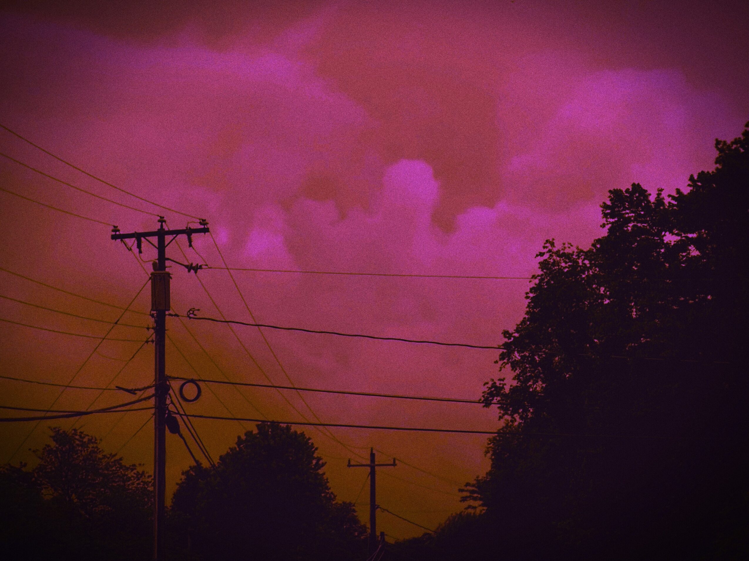 Sky with pink and purple clouds, silhouetted trees and utility poles, and power lines.