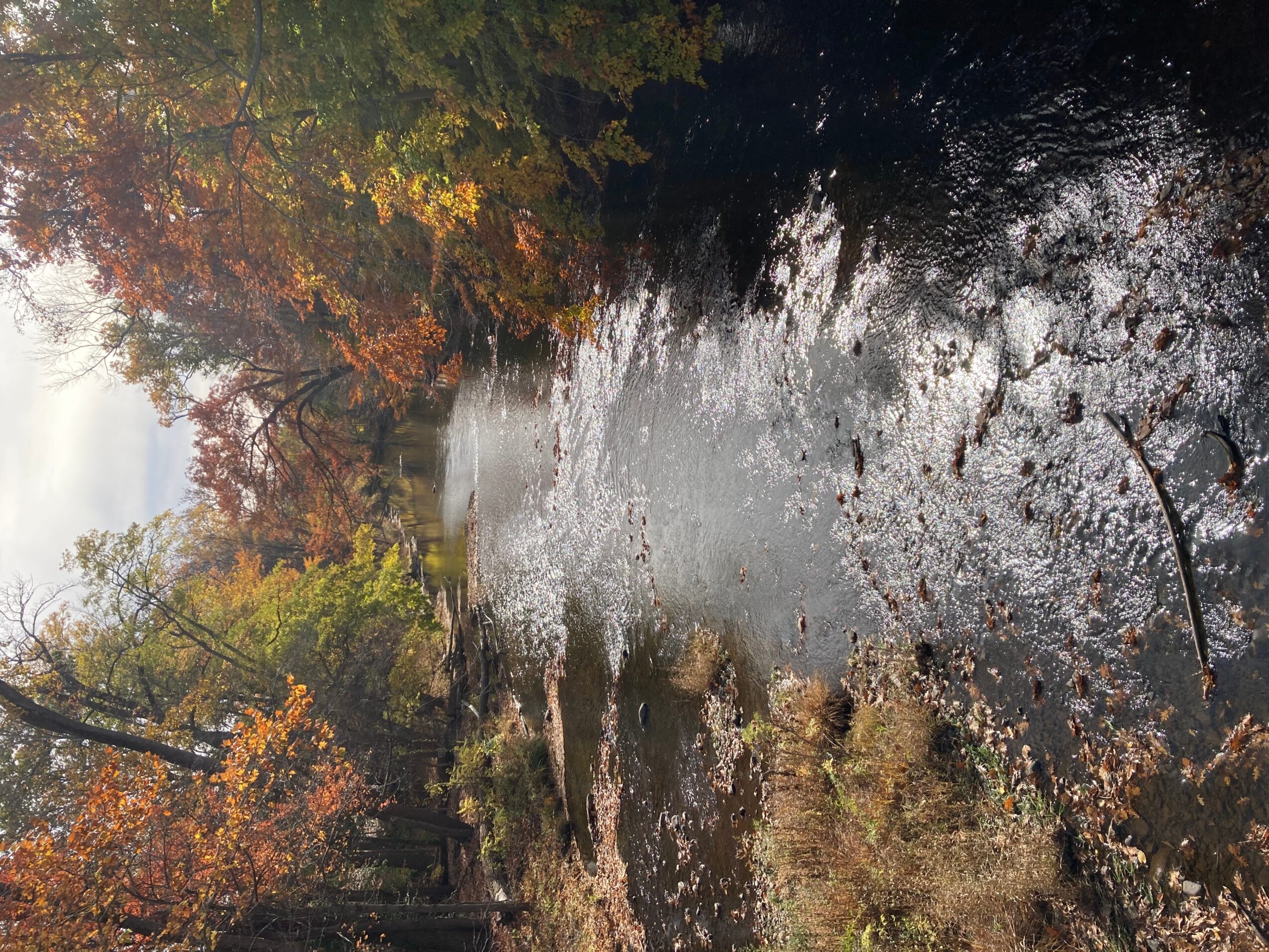 River flowing through a forest with autumn-colored trees, water reflecting the sky, and rocks along the bank.